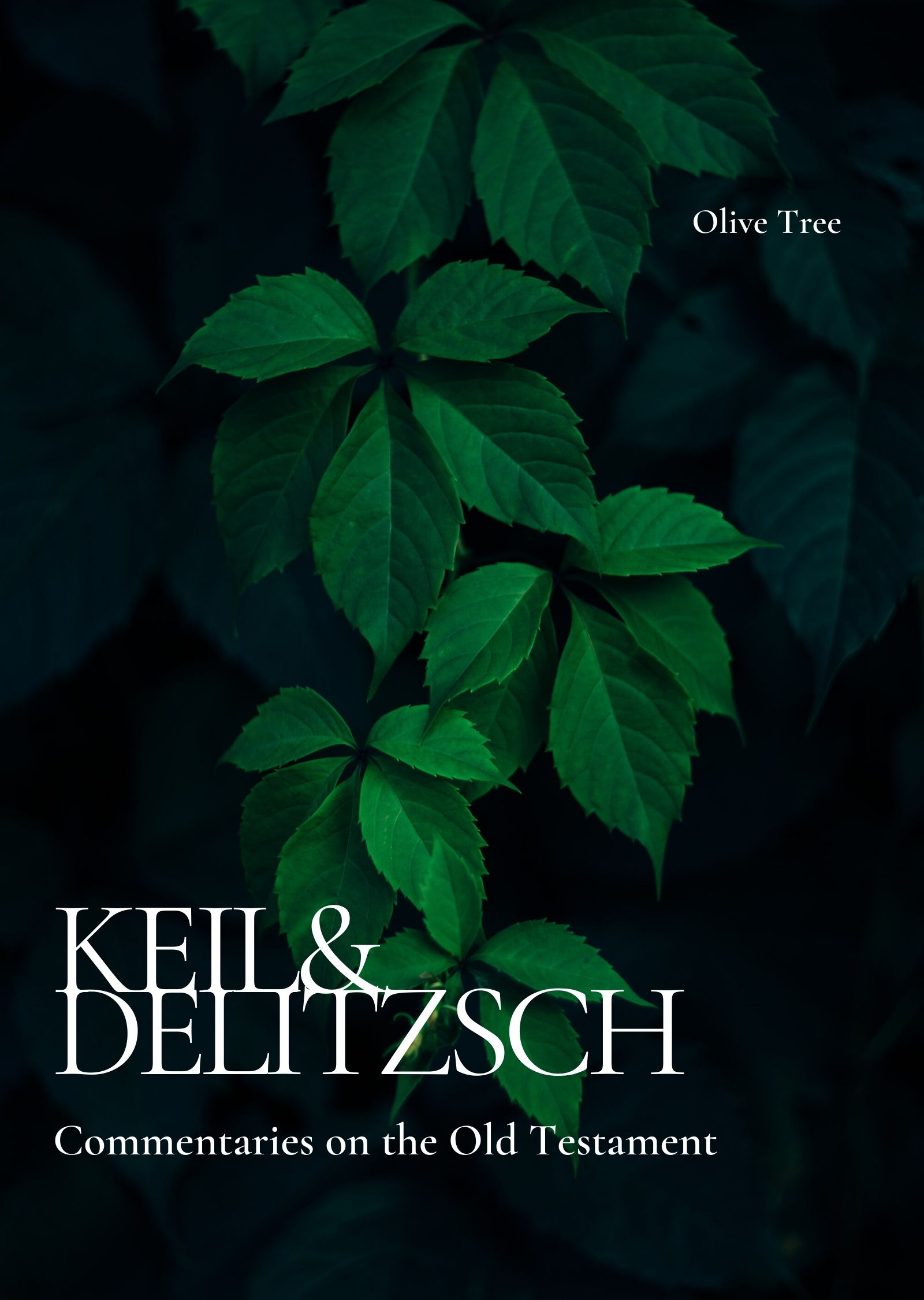 Keil and Delitzsch Commentary on the Old Testament by C.F