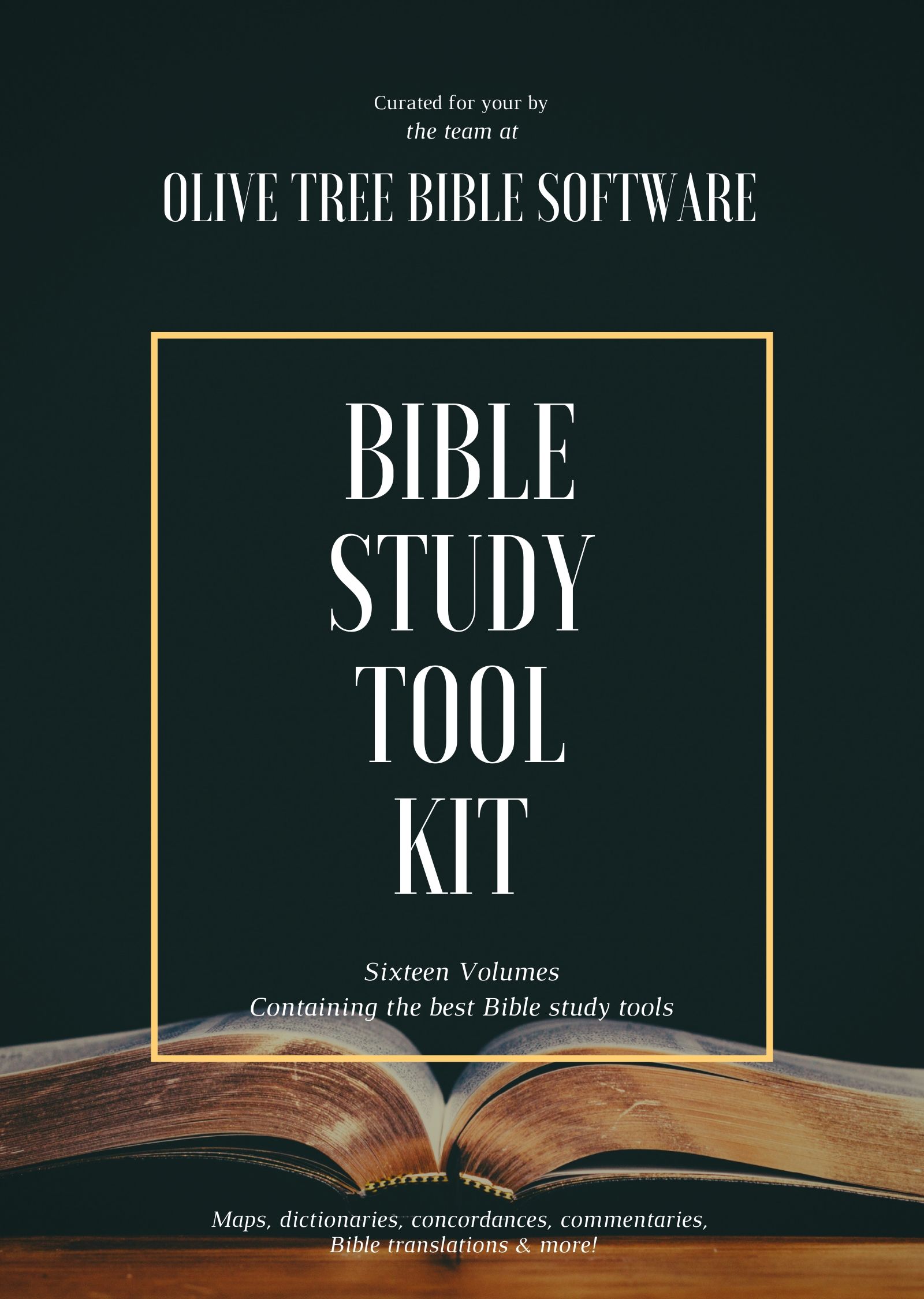 Bible Study Toolkit for the Bible Study App, Bible Study App, iPad