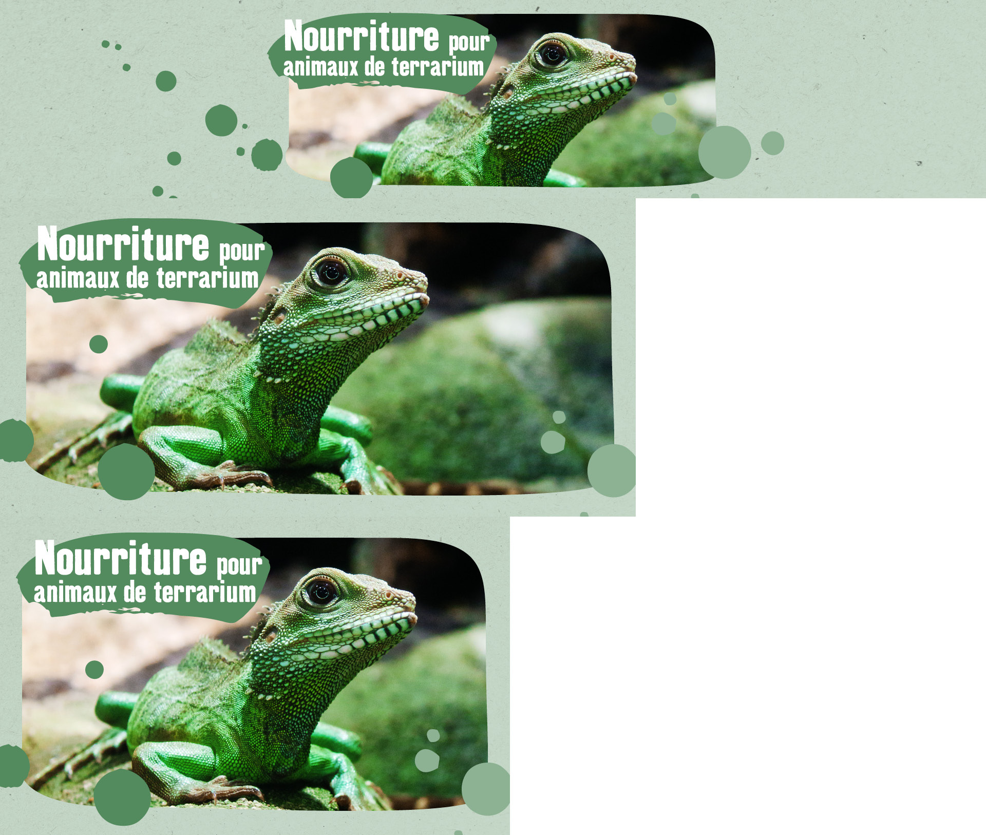 Produits pour terrarium MAXI ZOO