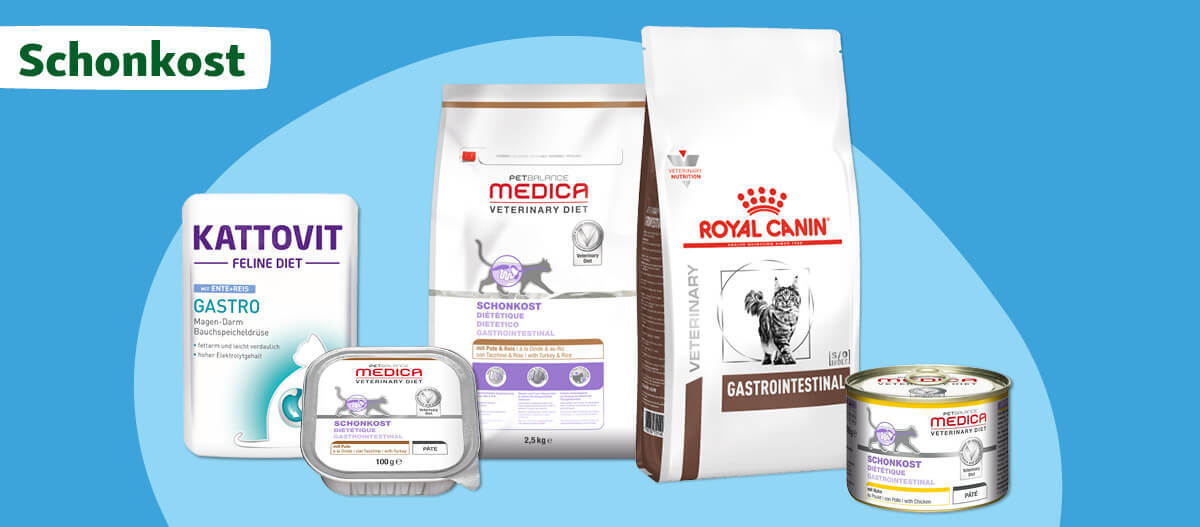 Schonkost Für Katzen Bei Durchfall information online