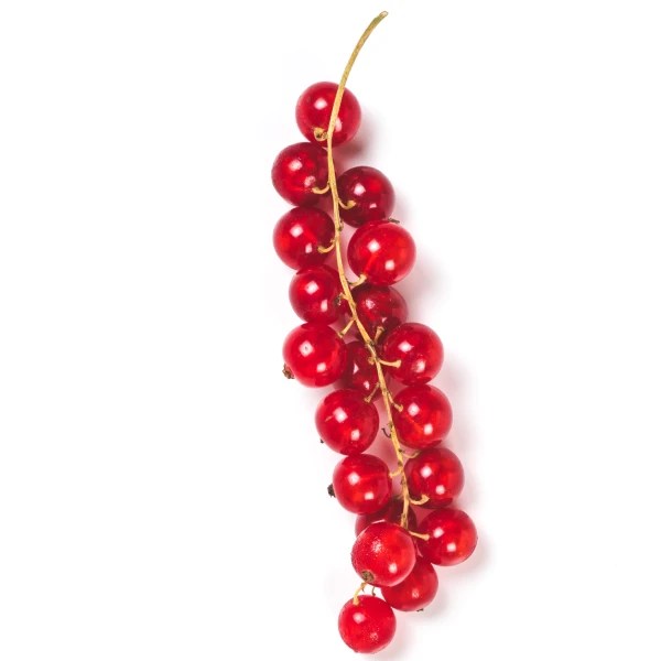 Parfoom Thekrayat Emirates Pride