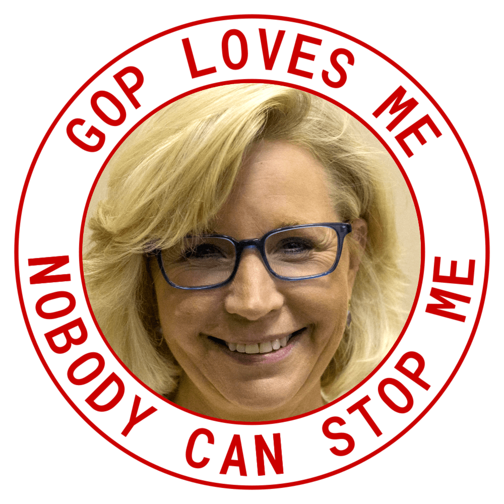 LIZ CHENEY "We really had a terrific vote tonight. We’re not going to