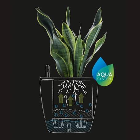 LECHUZA SelfWatering Planters USA