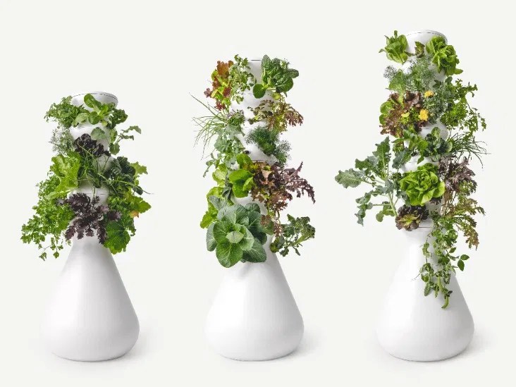 Lettuce Grow Farmstand Review Healthline