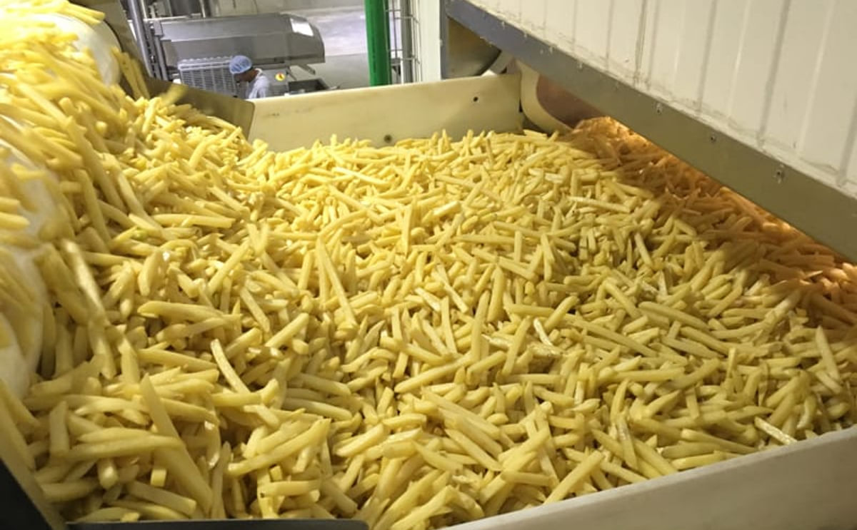 NSSPL Potato Based Processing Plant PotatoPro