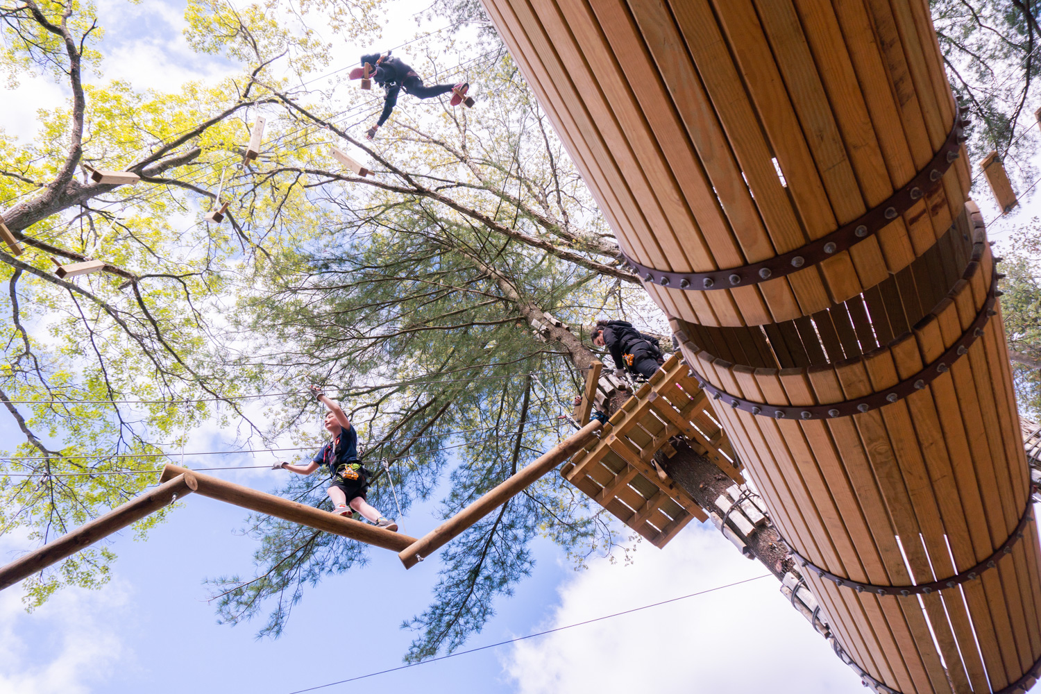 Treetop Adventures Announces Grand ReOpening Event On June 9Th, 2018