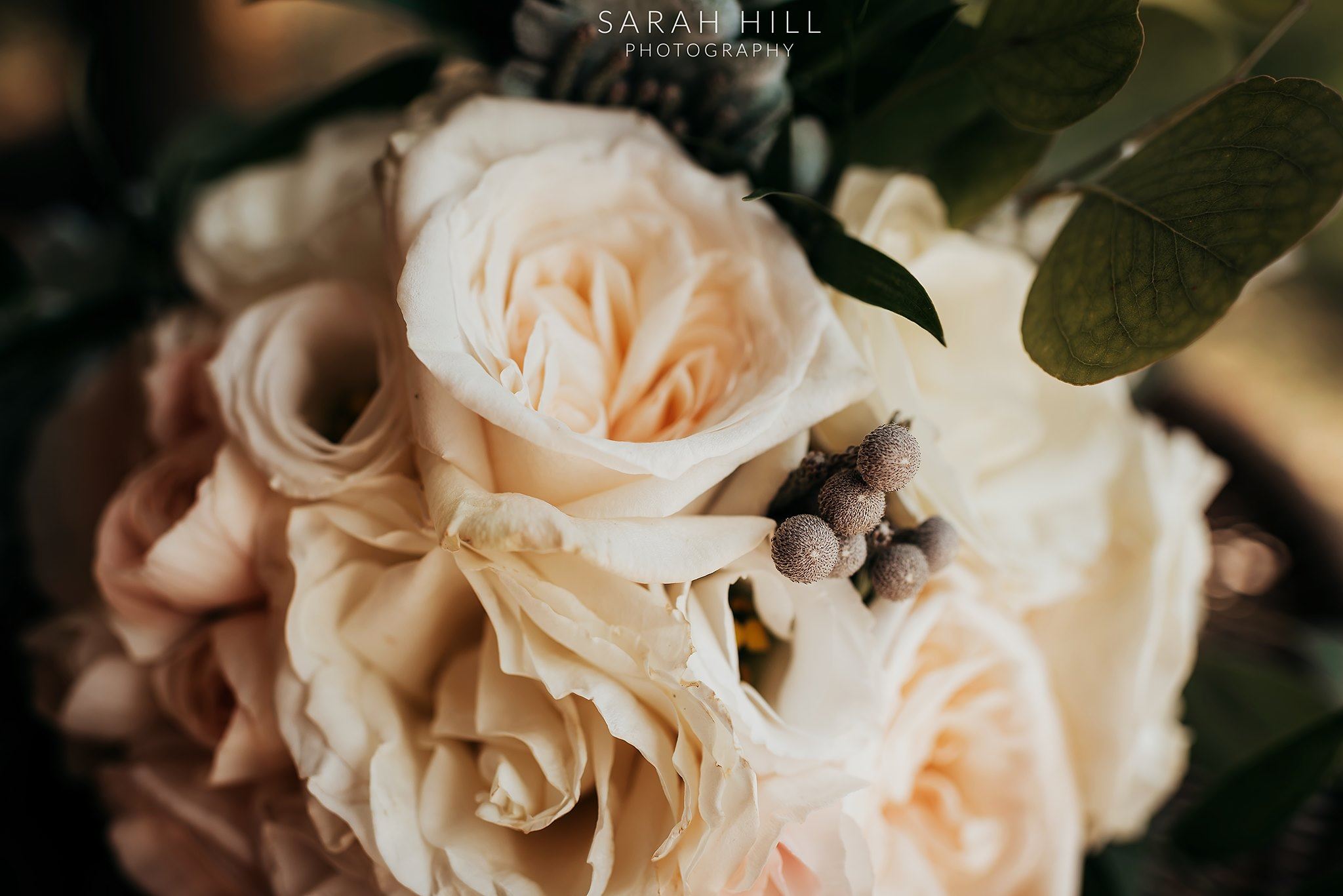 Charissa's Floral Design Opens Brick & Mortar Space in Louisville, Kentucky