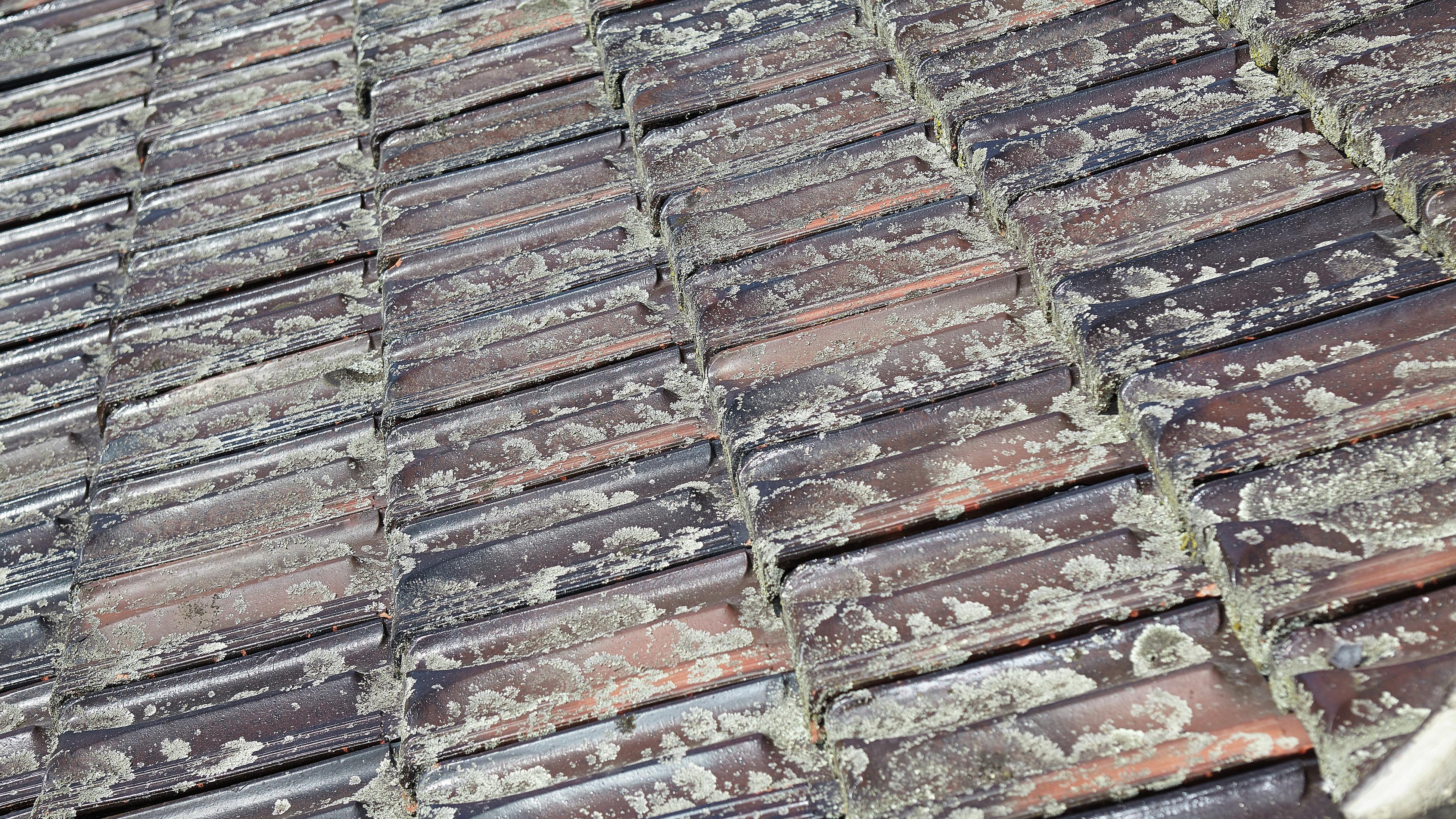 How To Clean Roof Tiles Bunnings New Zealand