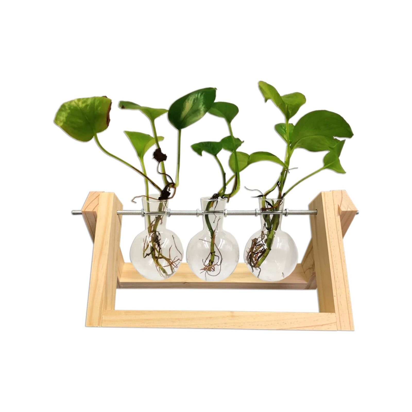 Kit Out DIY 3 Glass Hanging Terrarium Bunnings New Zealand