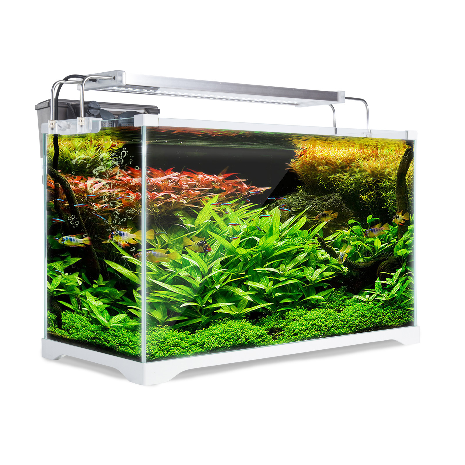 Aquarium Starfire Glass Fish Tank Set Filter Pump 39L Bunnings Australia