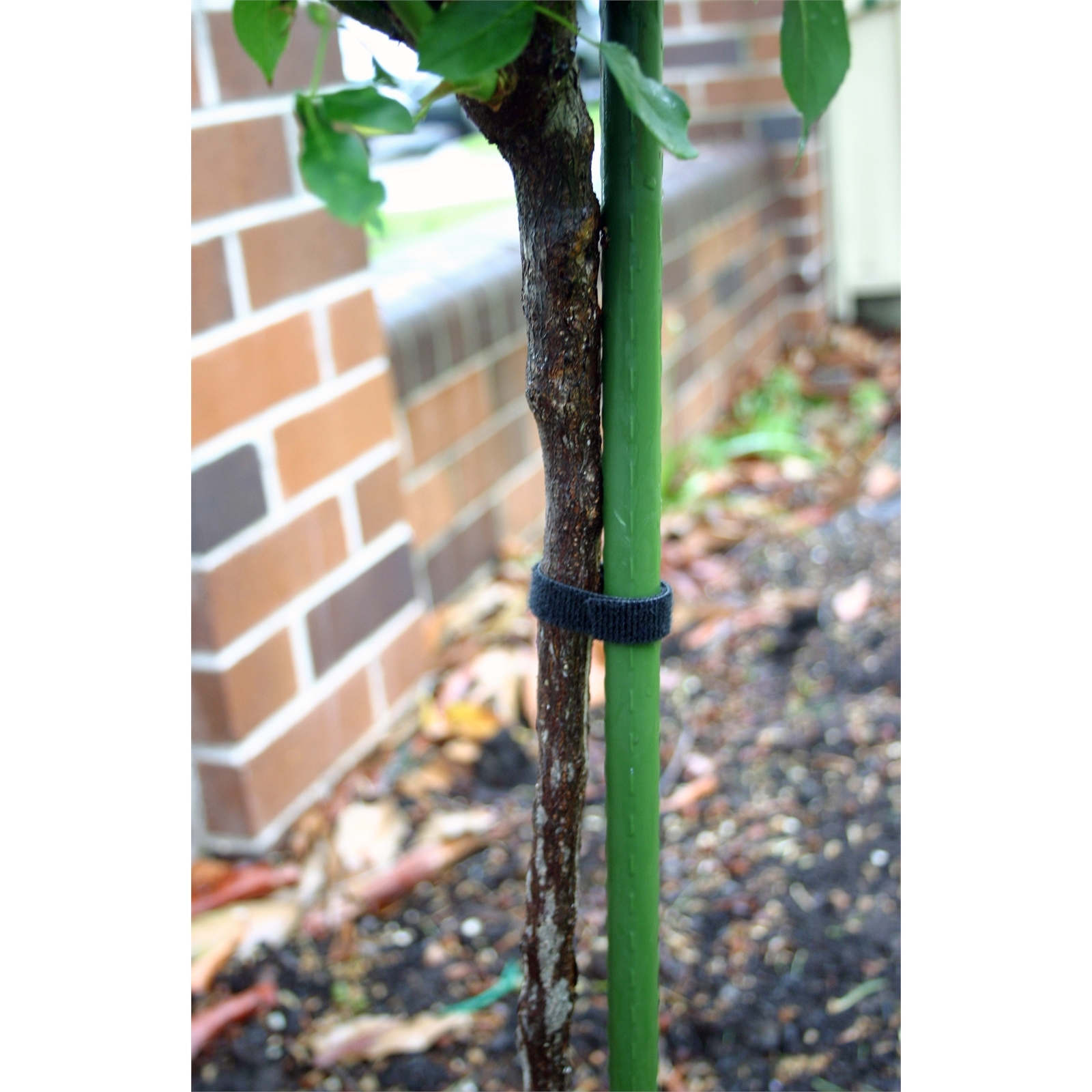 Whites 12mm x 1.5m Black Hook and Loop Plant Tie Bunnings Australia