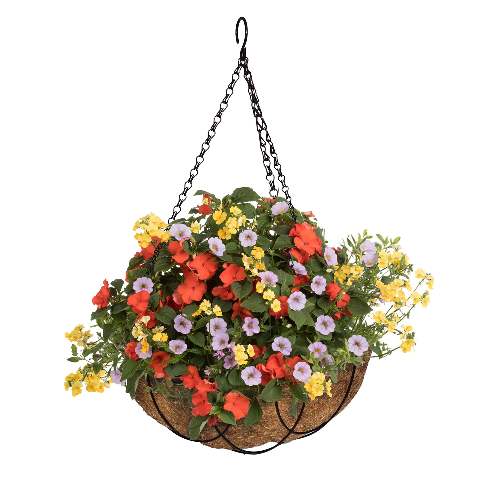 Lotus 355mm Hanging Basket With Liner Bunnings Australia