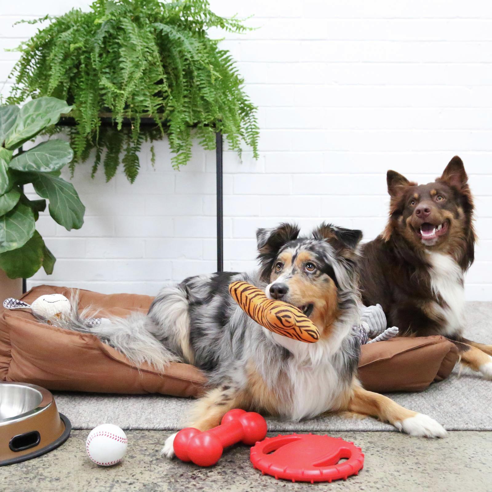 Happy Tails Tiger Bone Dog Toy Bunnings Australia