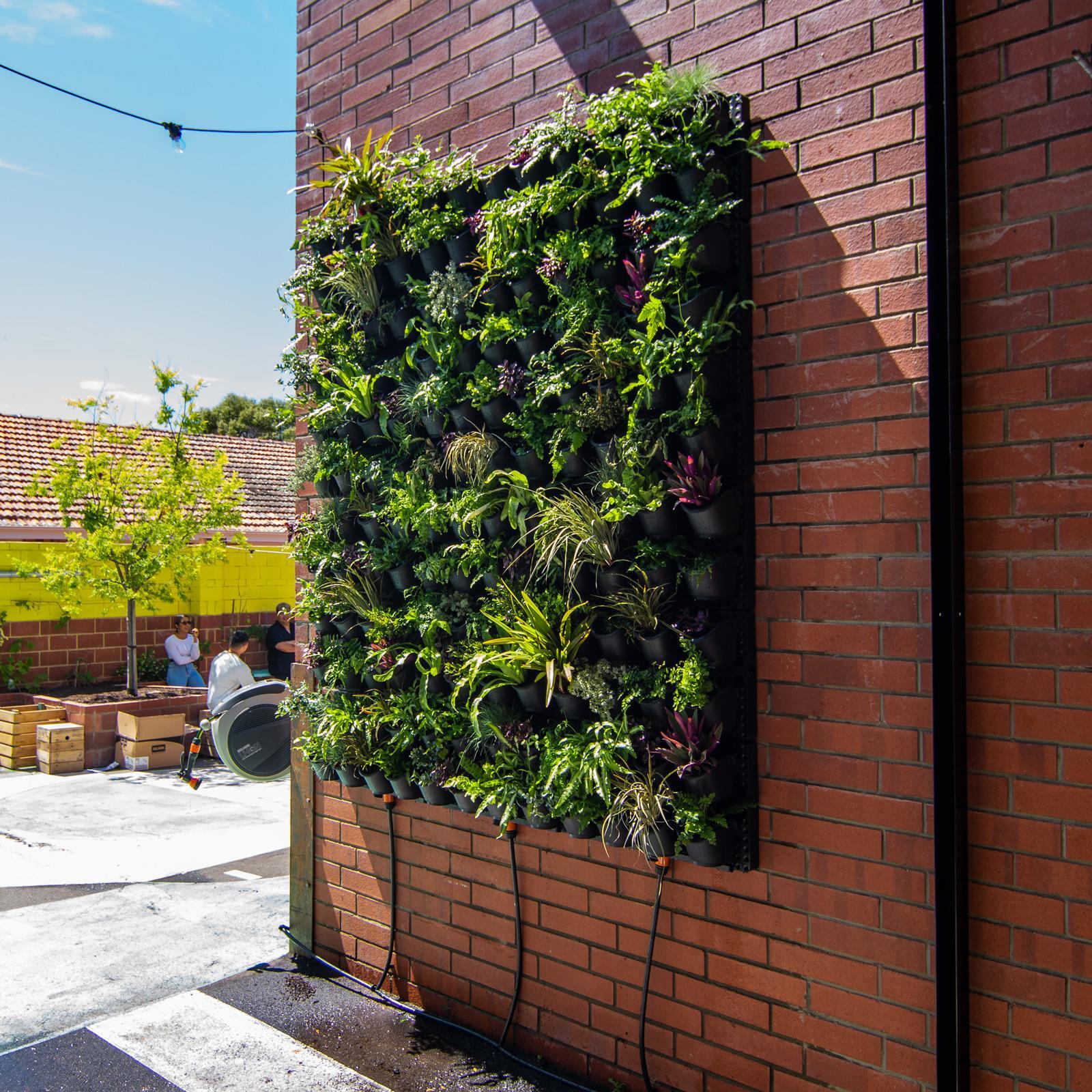 Holman Vertical GreenWall Garden Kit Bunnings Australia