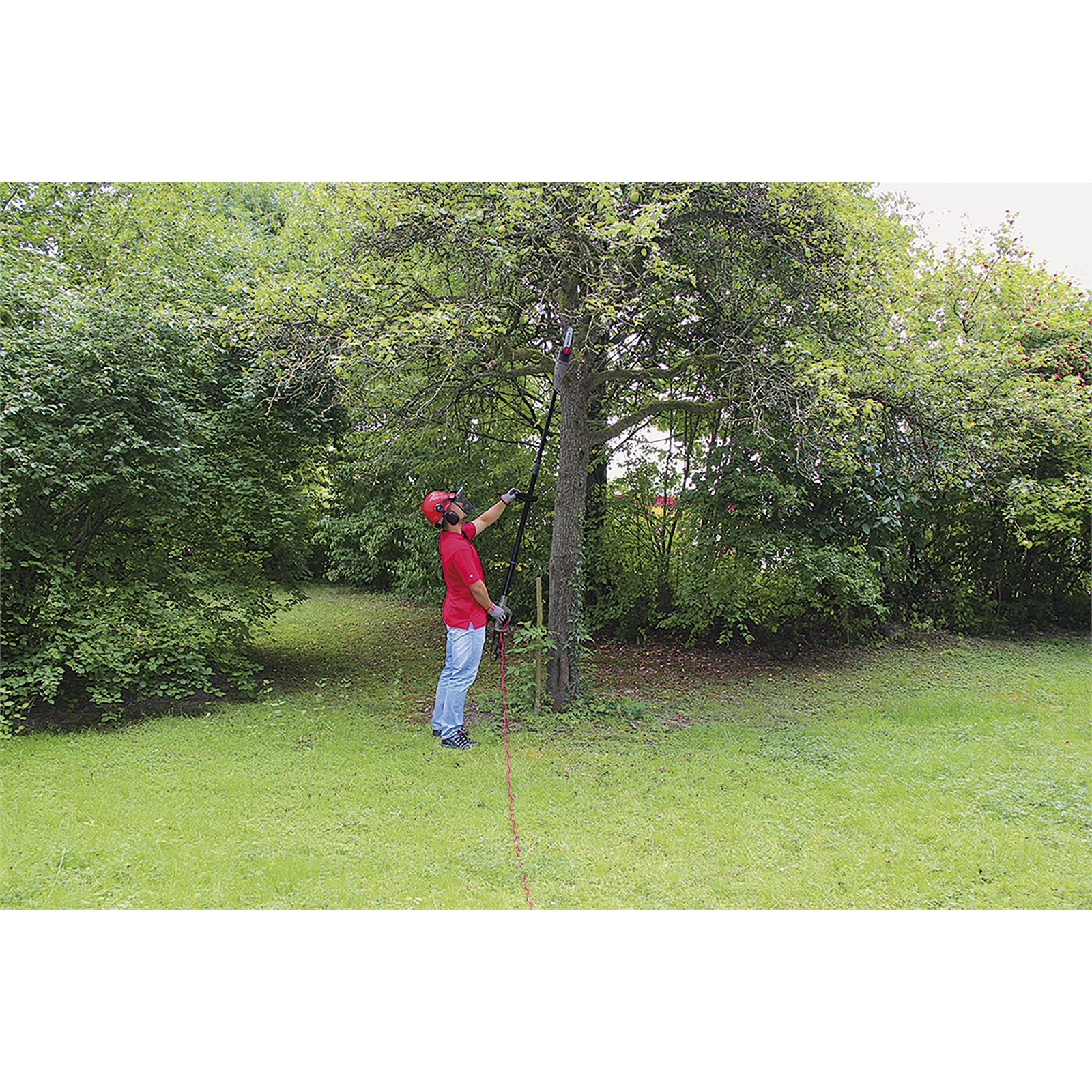 Ozito 750W Telescopic Electric Pole Pruner Bunnings New Zealand