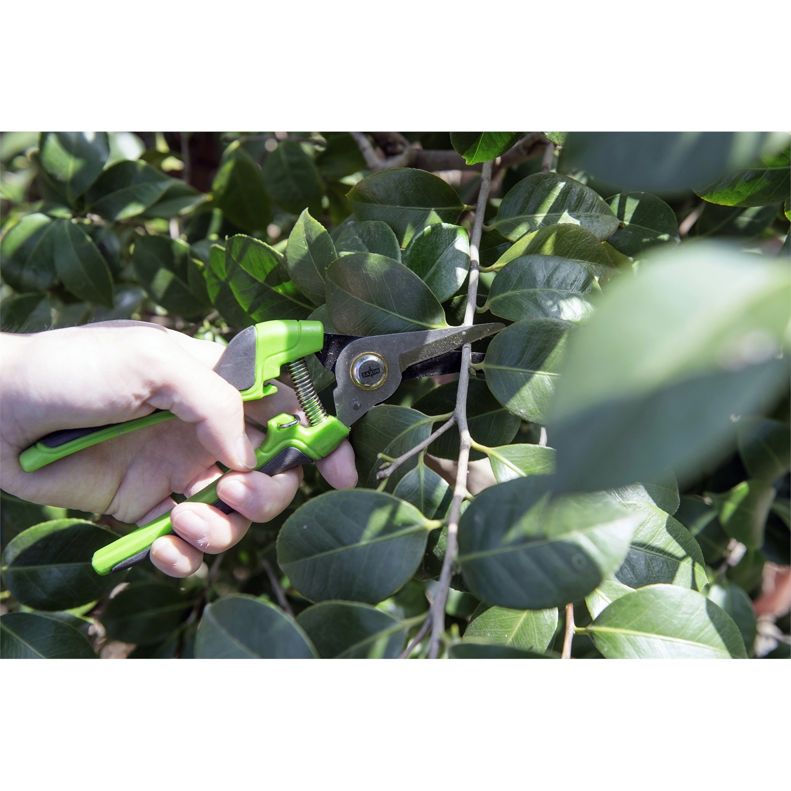 Saxon Floral Pruners Bunnings Australia