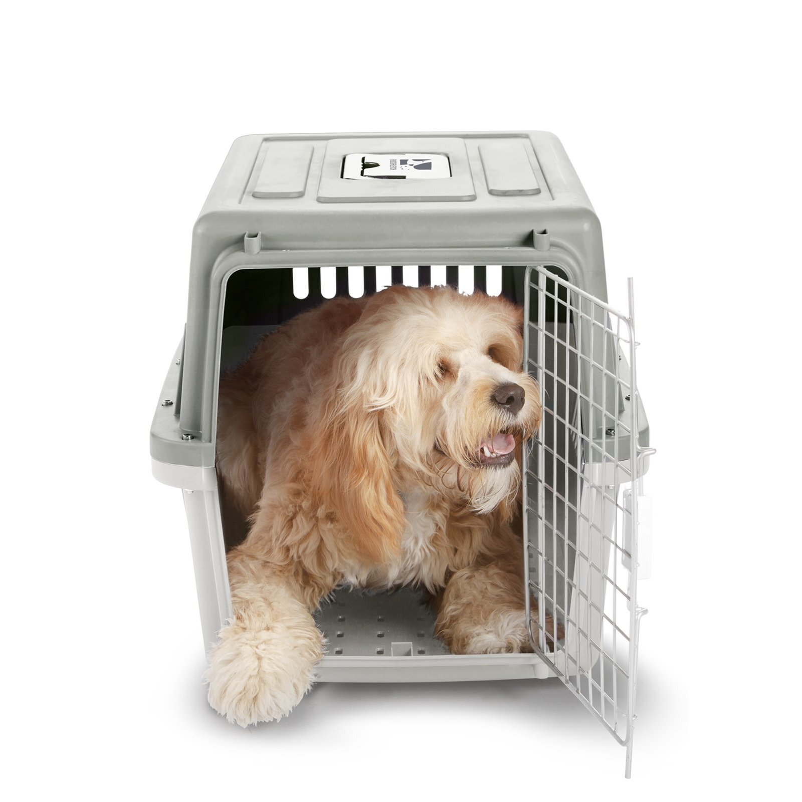 Fido & Fletch Large Plastic Pet Carrier Bunnings Australia