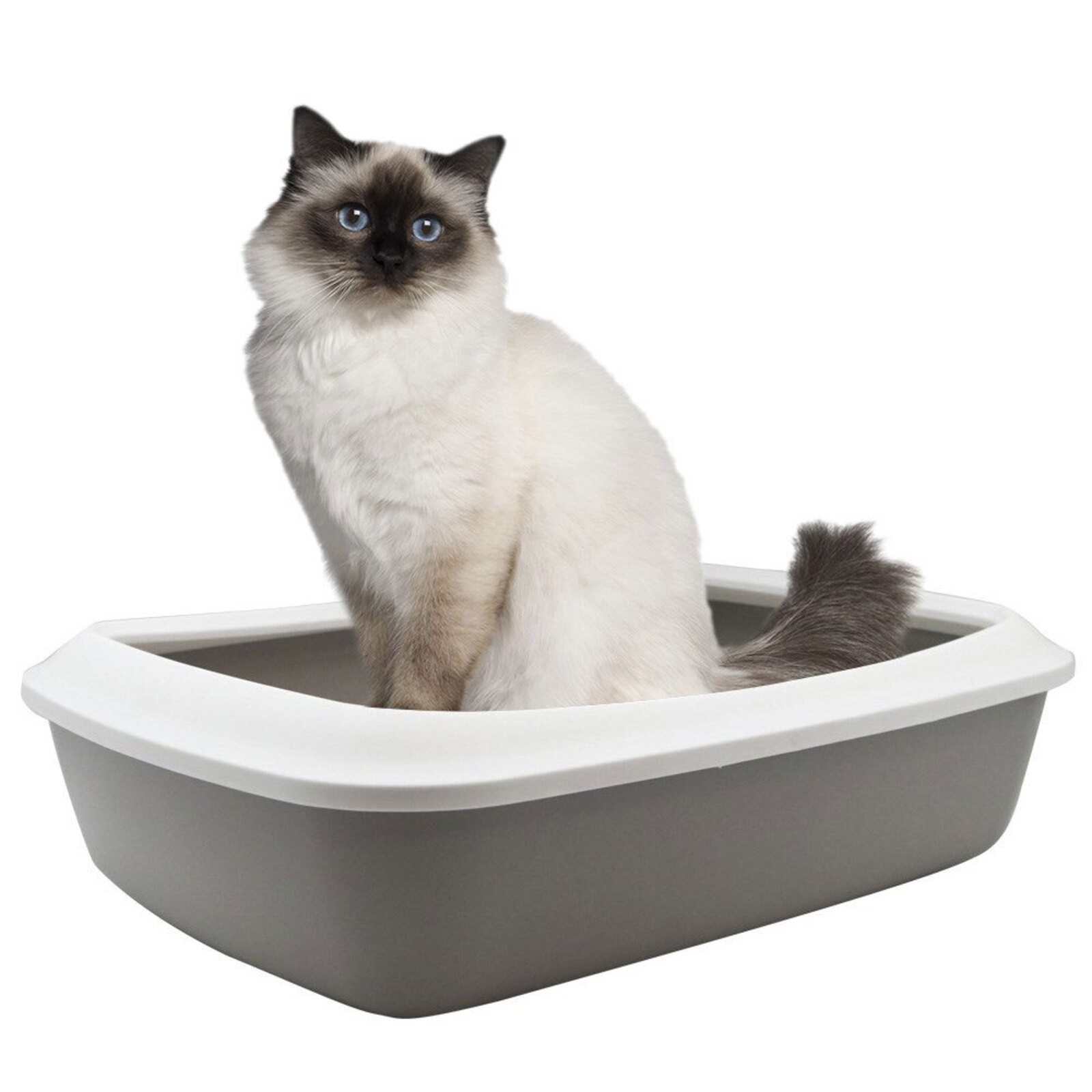 Paws & Claws 42cm x 13cm Pets/Cat/Kitten Litter Tray w/ Mess Guard