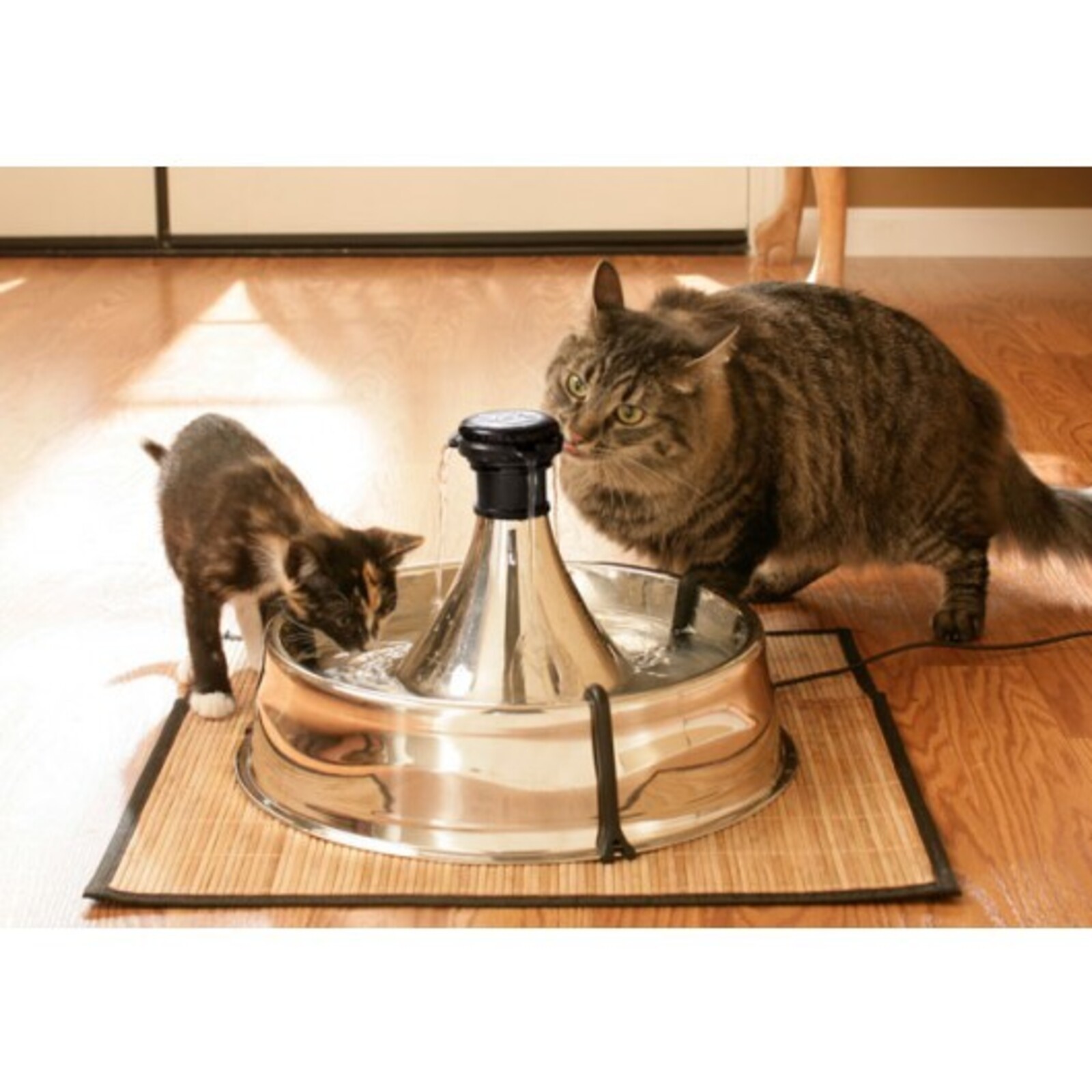 Drinkwell 3.8 Litre 360 Stainless Steel Pet Filtered Fountain for Dogs