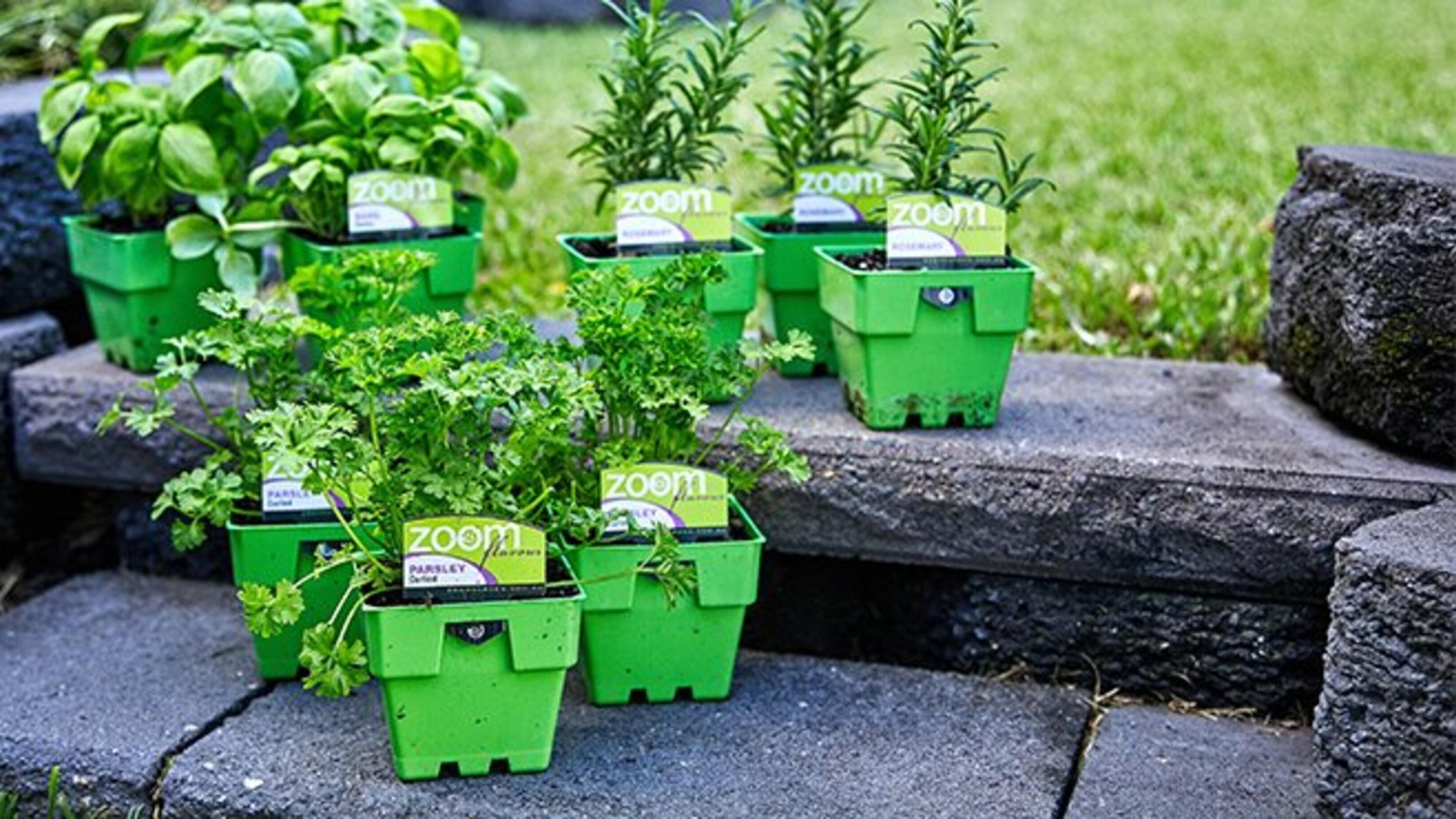The Garden Diaries QLD in April Bunnings Australia