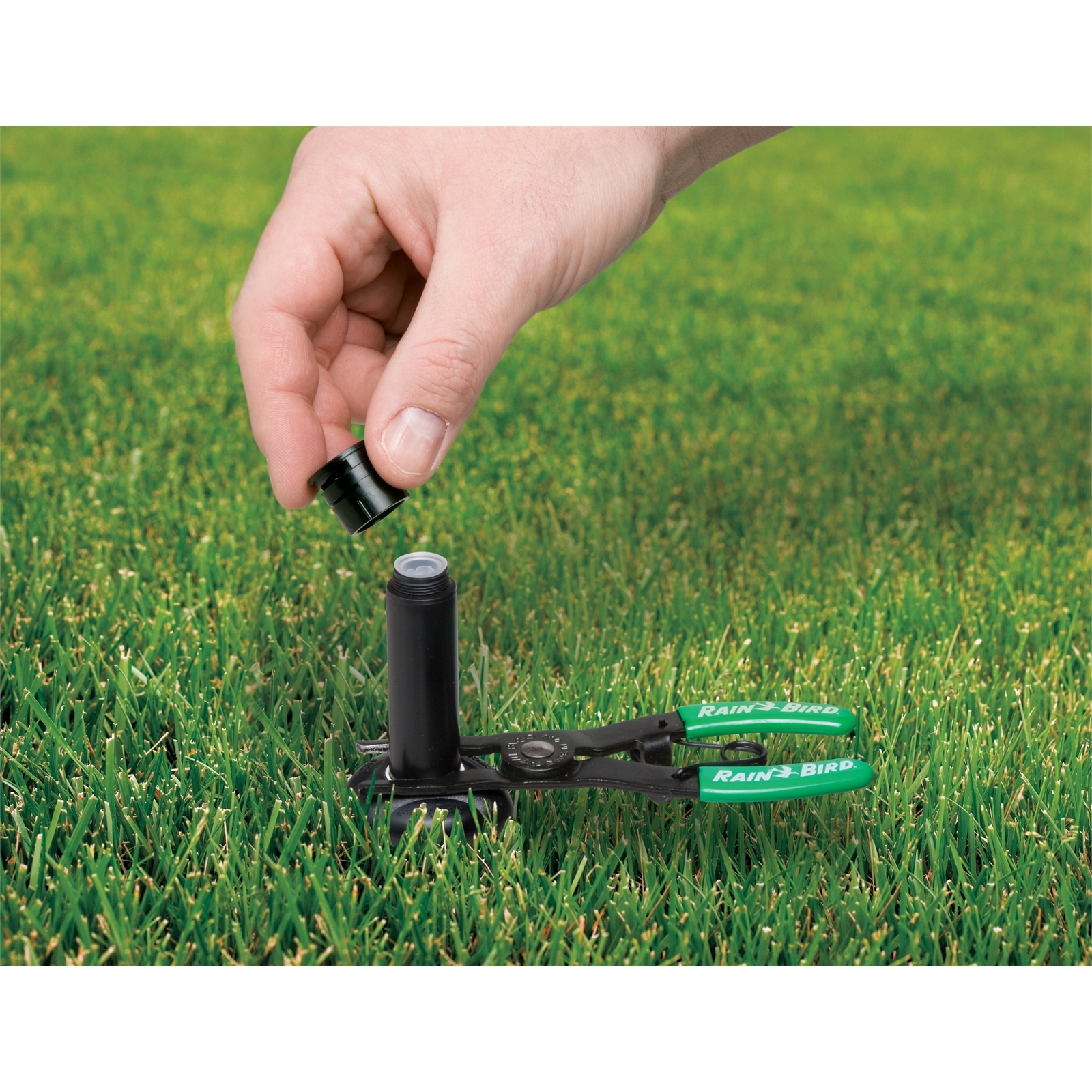 Rain Bird RB Pop Up Repair Kit Bunnings Australia