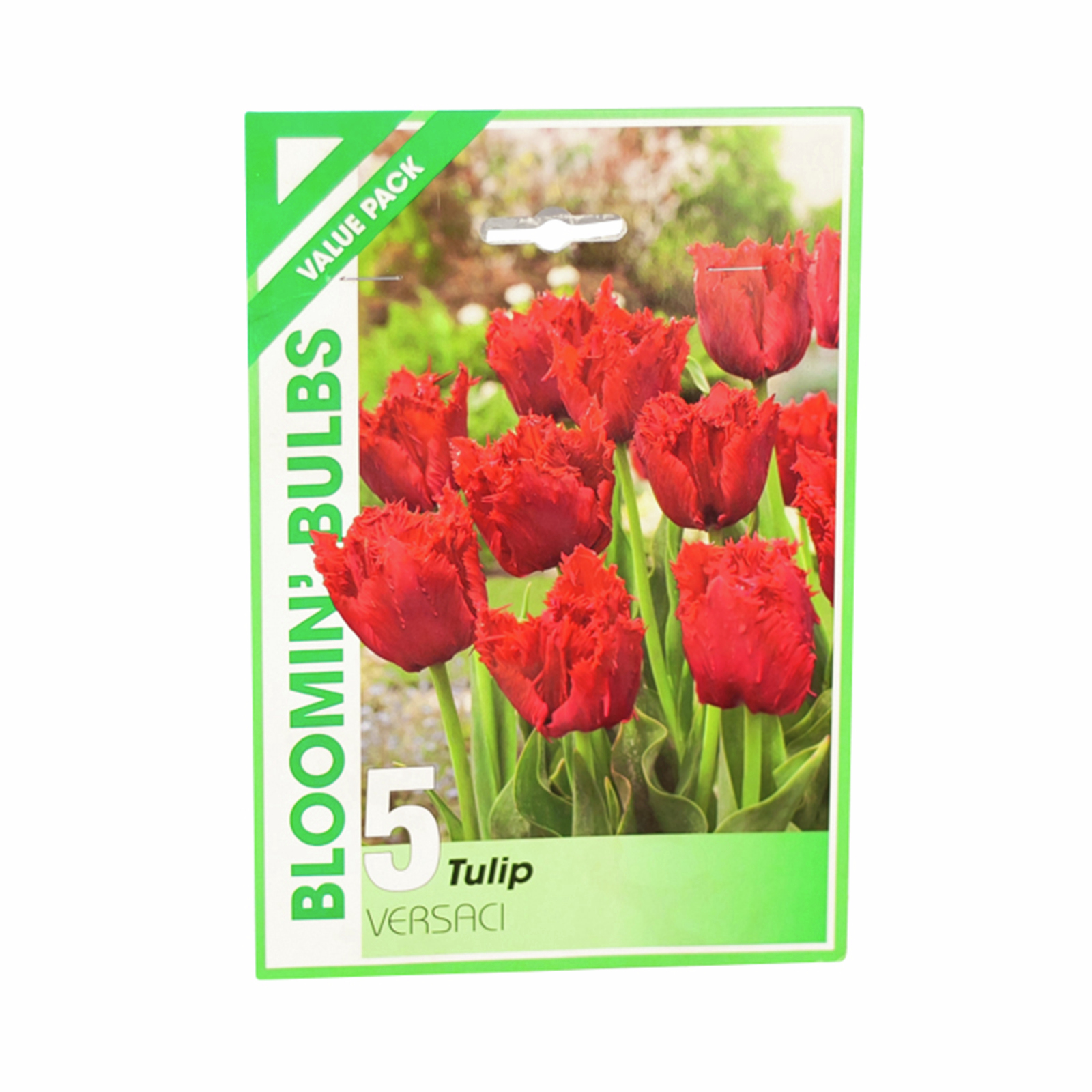 Bloomin' Bulbs Tulip Versaci Tulipa hybrid 5 Pack Bunnings Australia