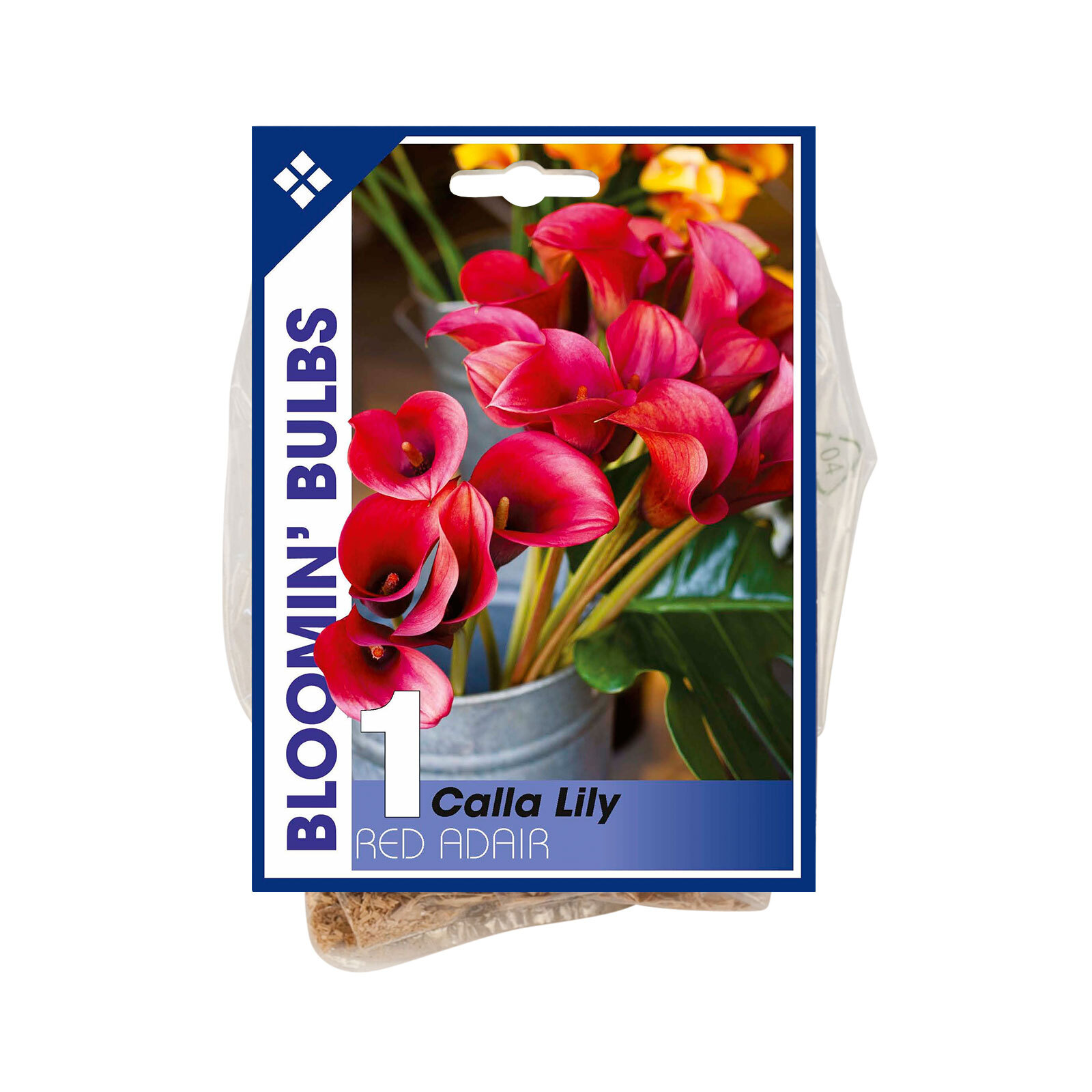 Bloomin Bulbs Calla Lily Red Adair 1 Pack Bunnings Australia