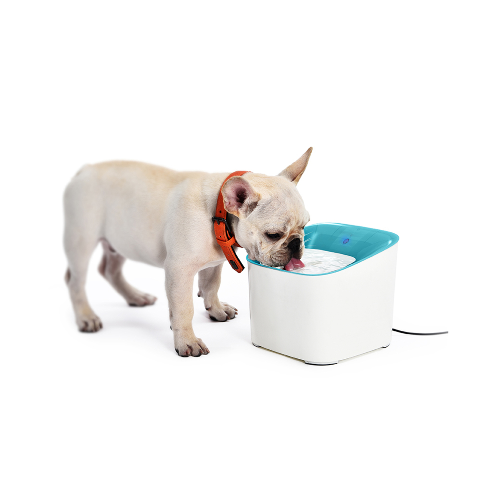 Lenoxx Smart Pet/Cat/Dog 3L Drinking Water Purifier Fountain w/Filter