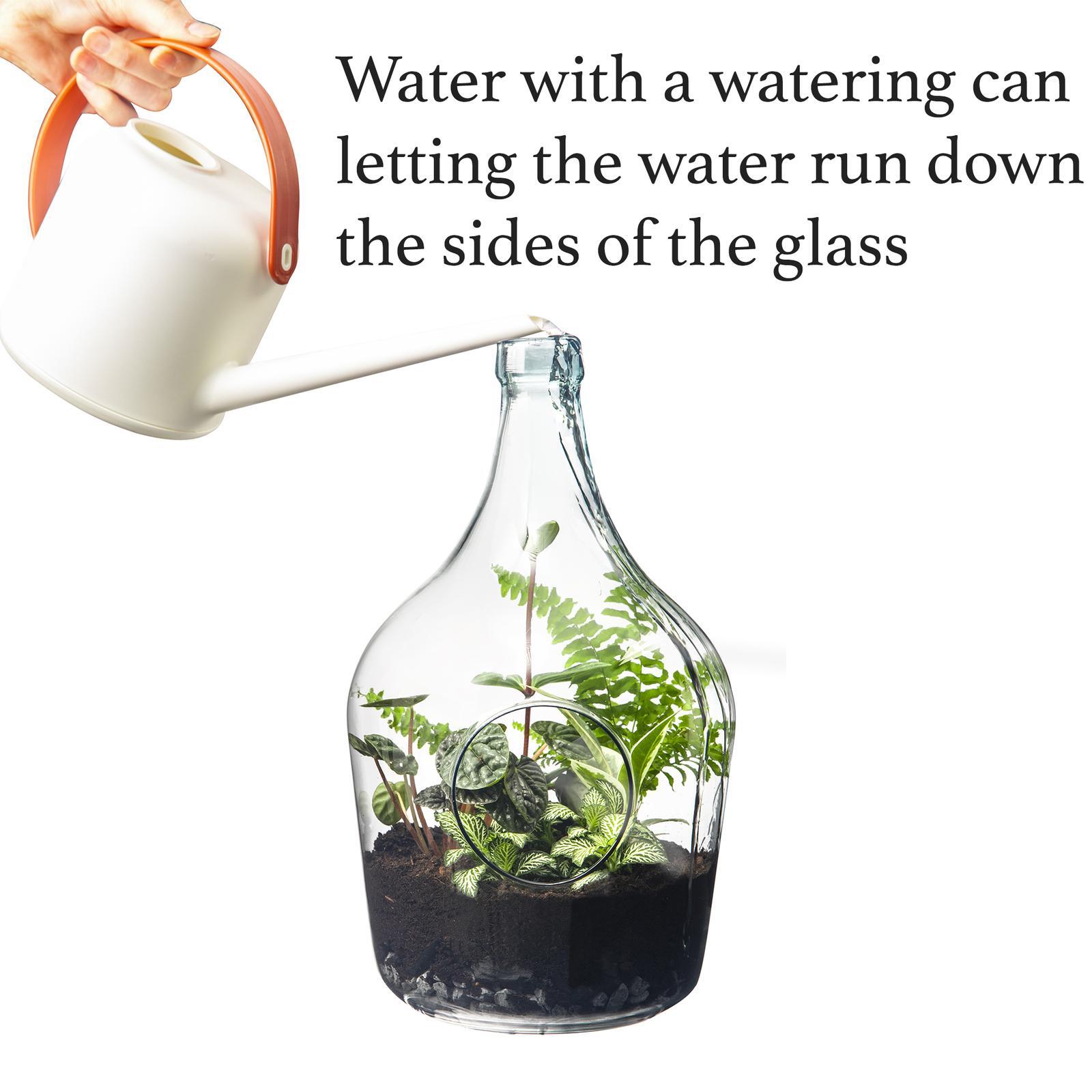 3L Half Open Terrarium Bottle Bunnings Australia