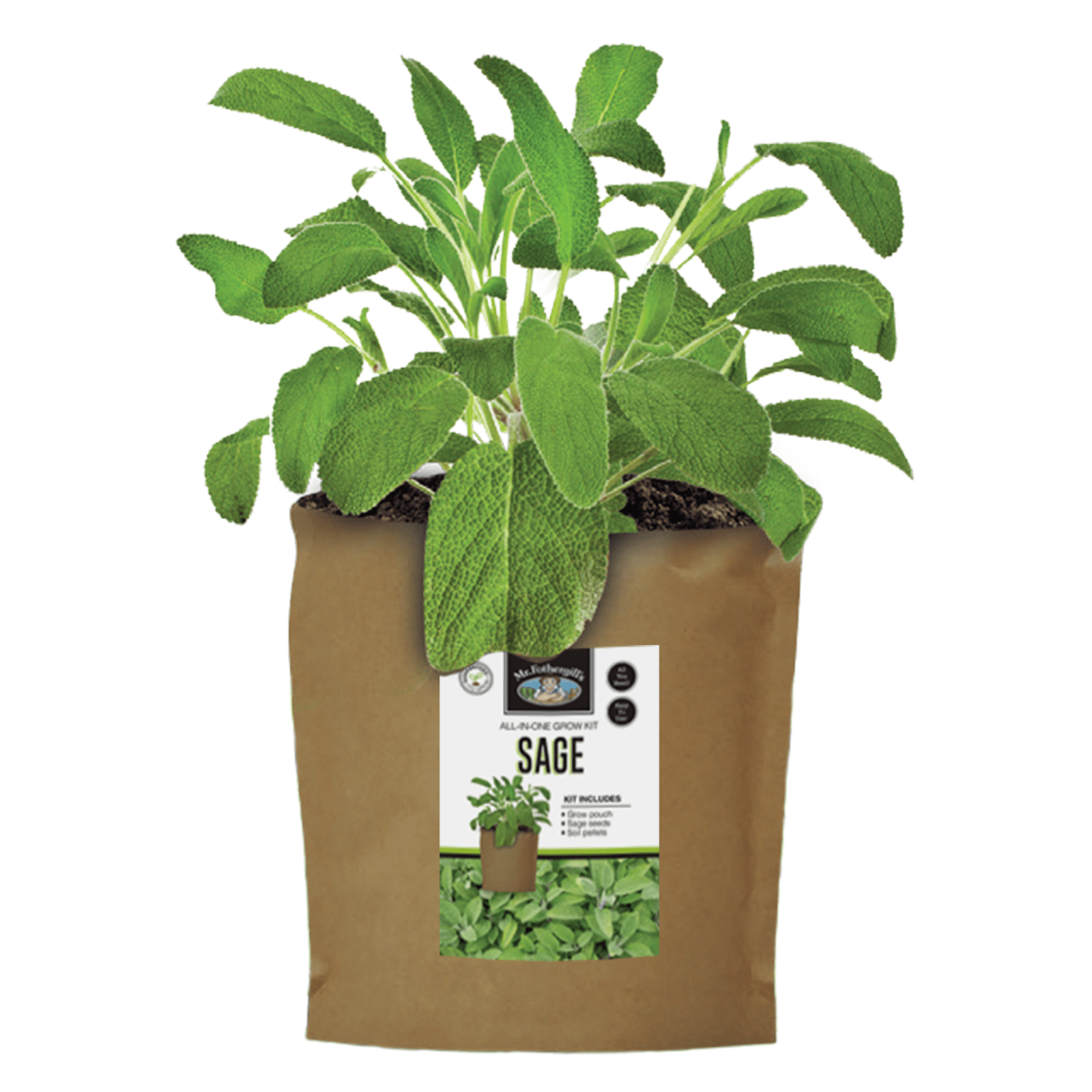 Mr Fothergill's Sage Grow Pouch Bag Bunnings New Zealand