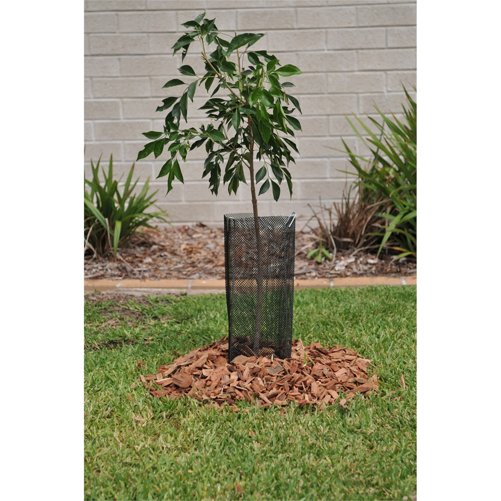 Whites 400 x 144mm Tree Tubes 3 Pack Bunnings New Zealand