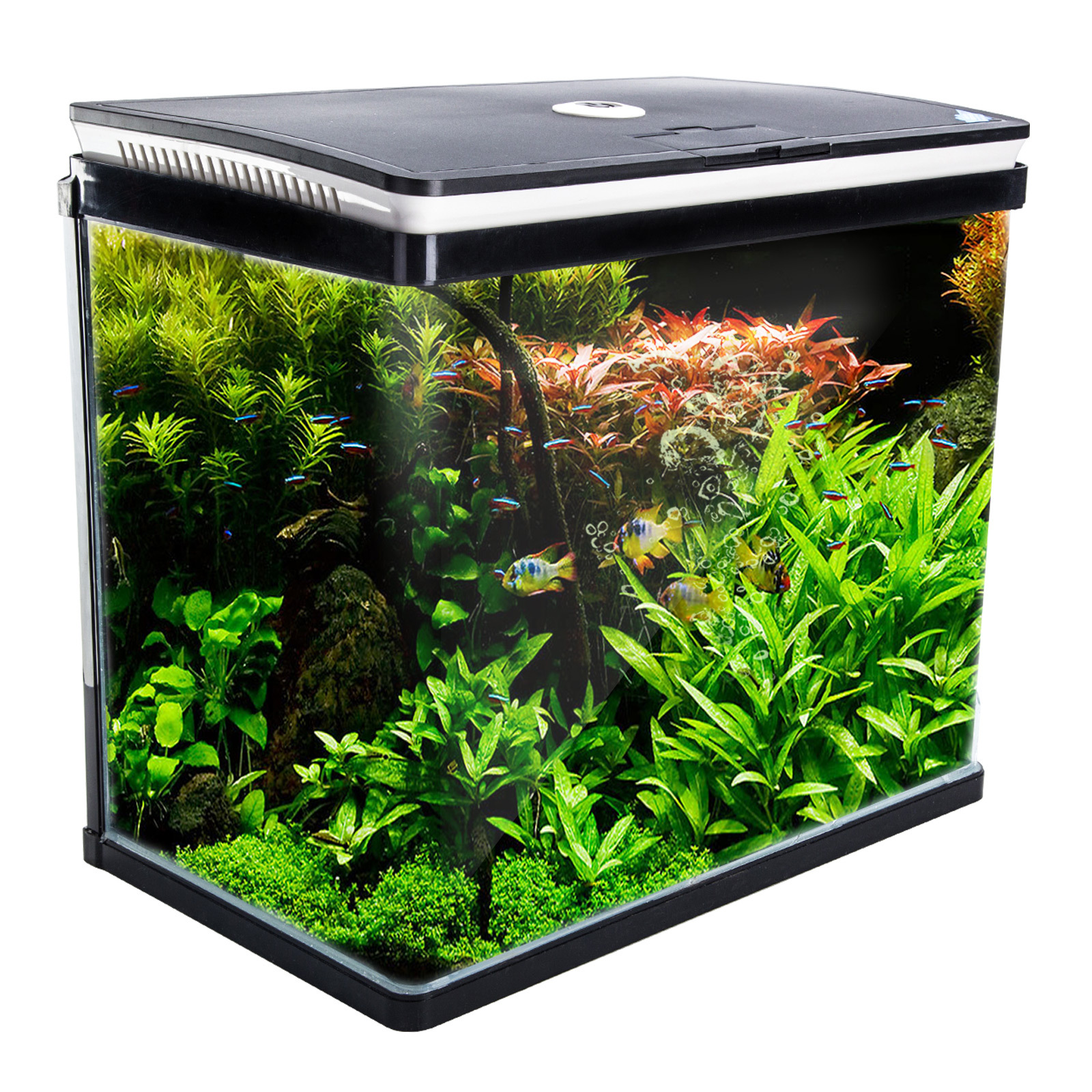 Aquarium Curved Glass RGB LED Fish Tank Set Filter Pump 52L Bunnings