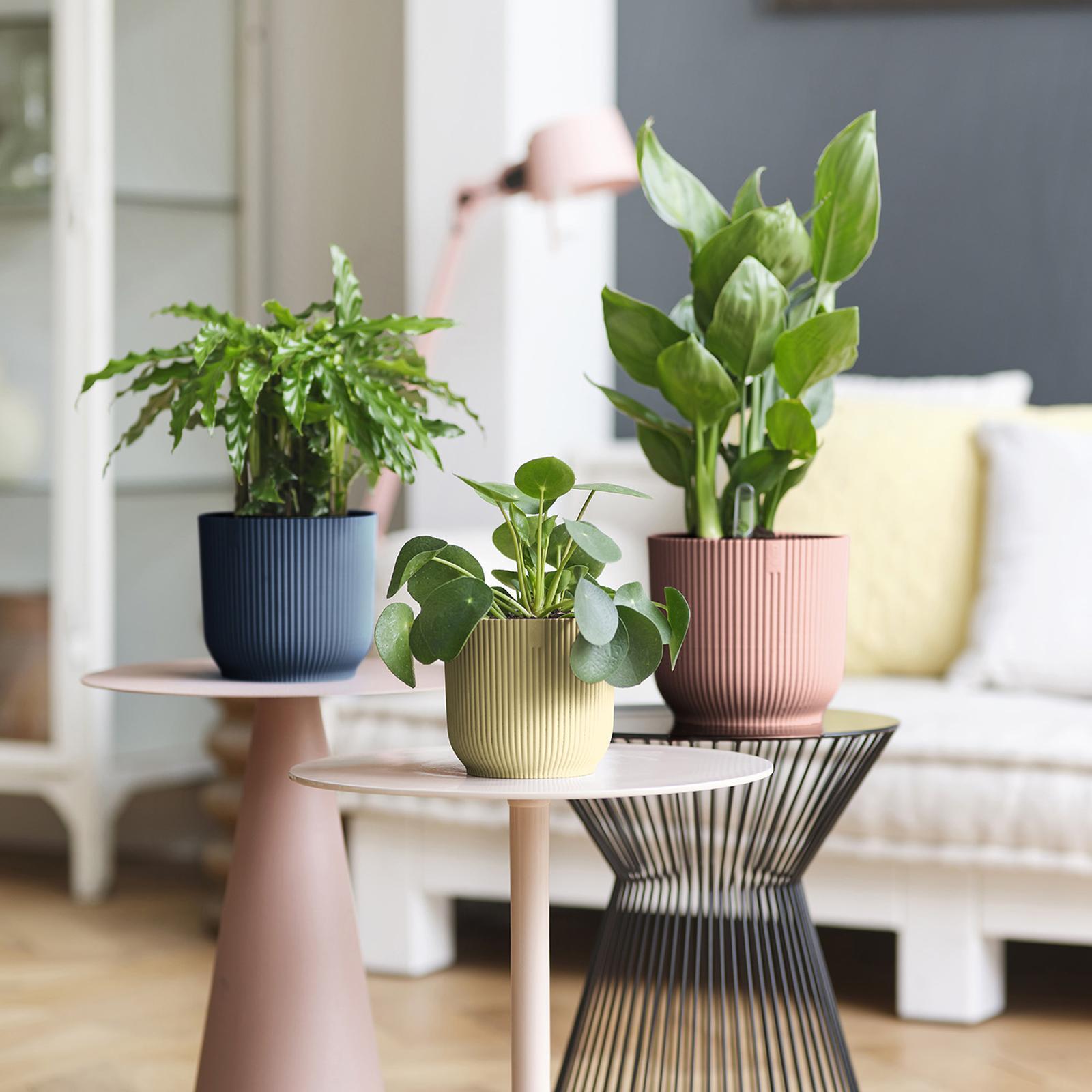 Elho 16cm Yellow Vibes Indoor Plant Pot Bunnings Australia