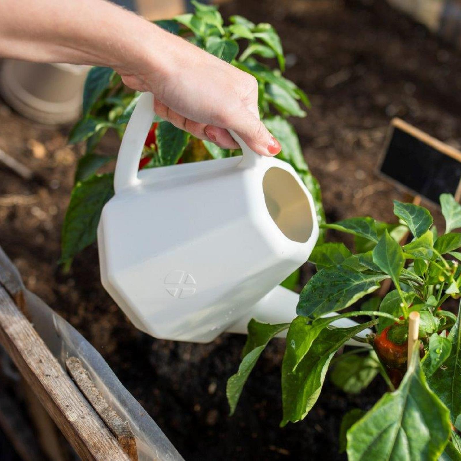 Capi 1.7L White Doppio Smooth Watering Can Bunnings Australia