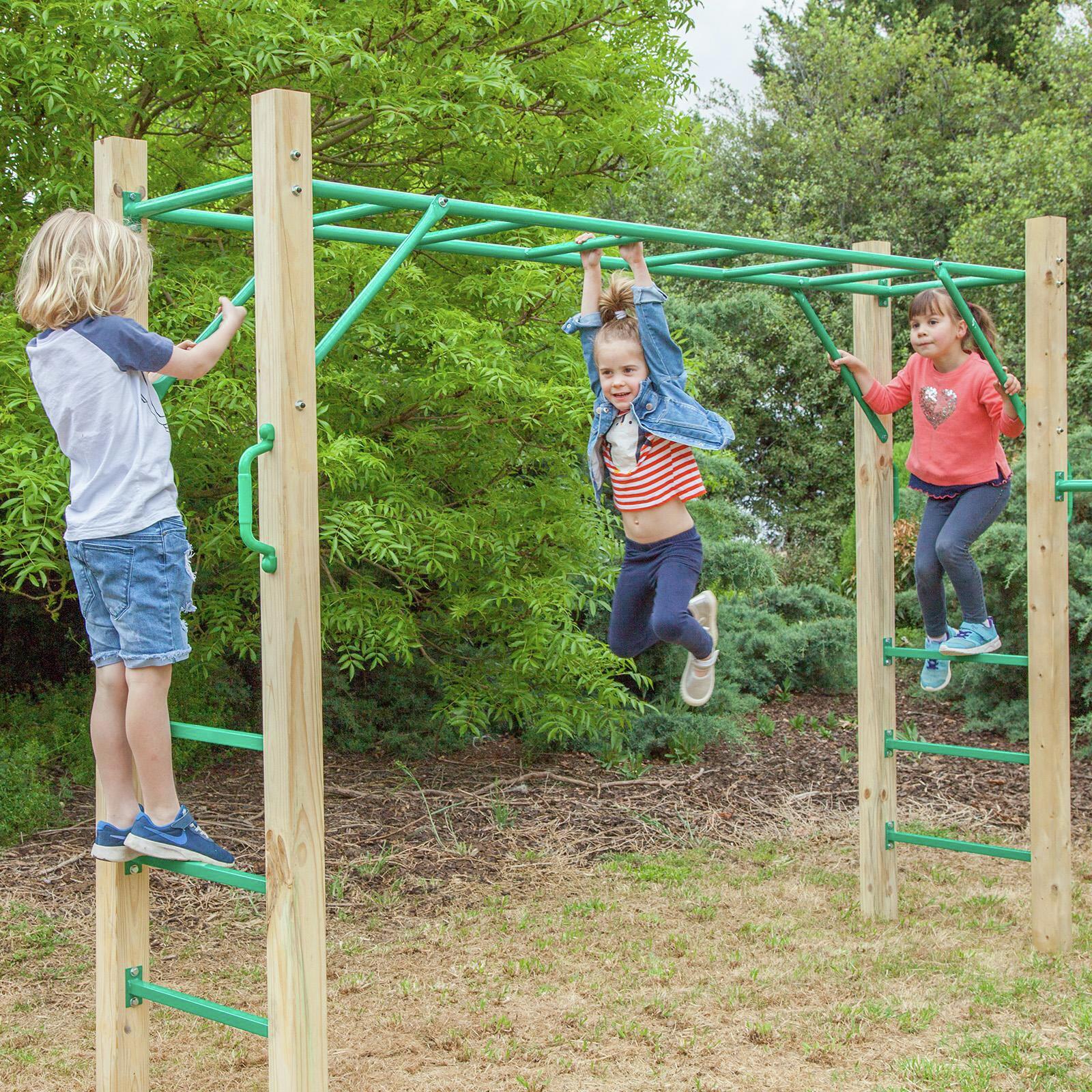 Lifespan Kids 2.5m Amazon Monkey Bar Set Bunnings Australia