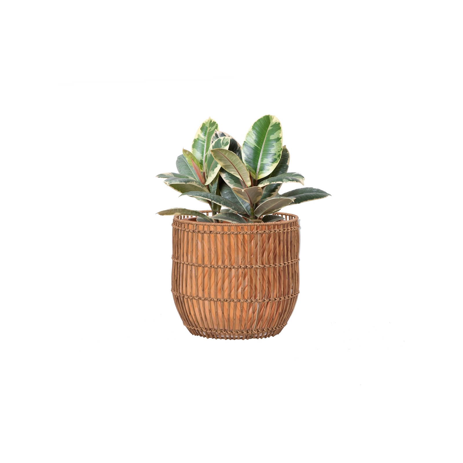 Lotus 28x26cm Lightbrown Woven Planter Bunnings New Zealand