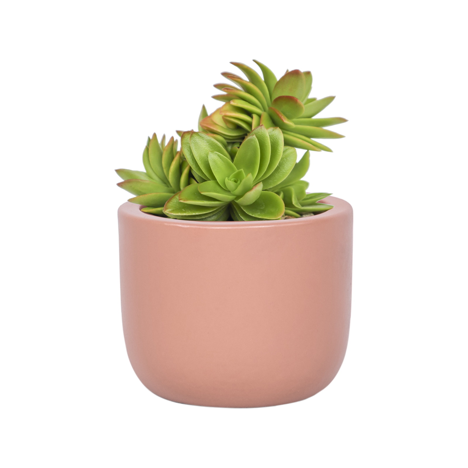 Lotus 110 x 90mm Extra Small Clay Round Plain Ceramic Egg Pot