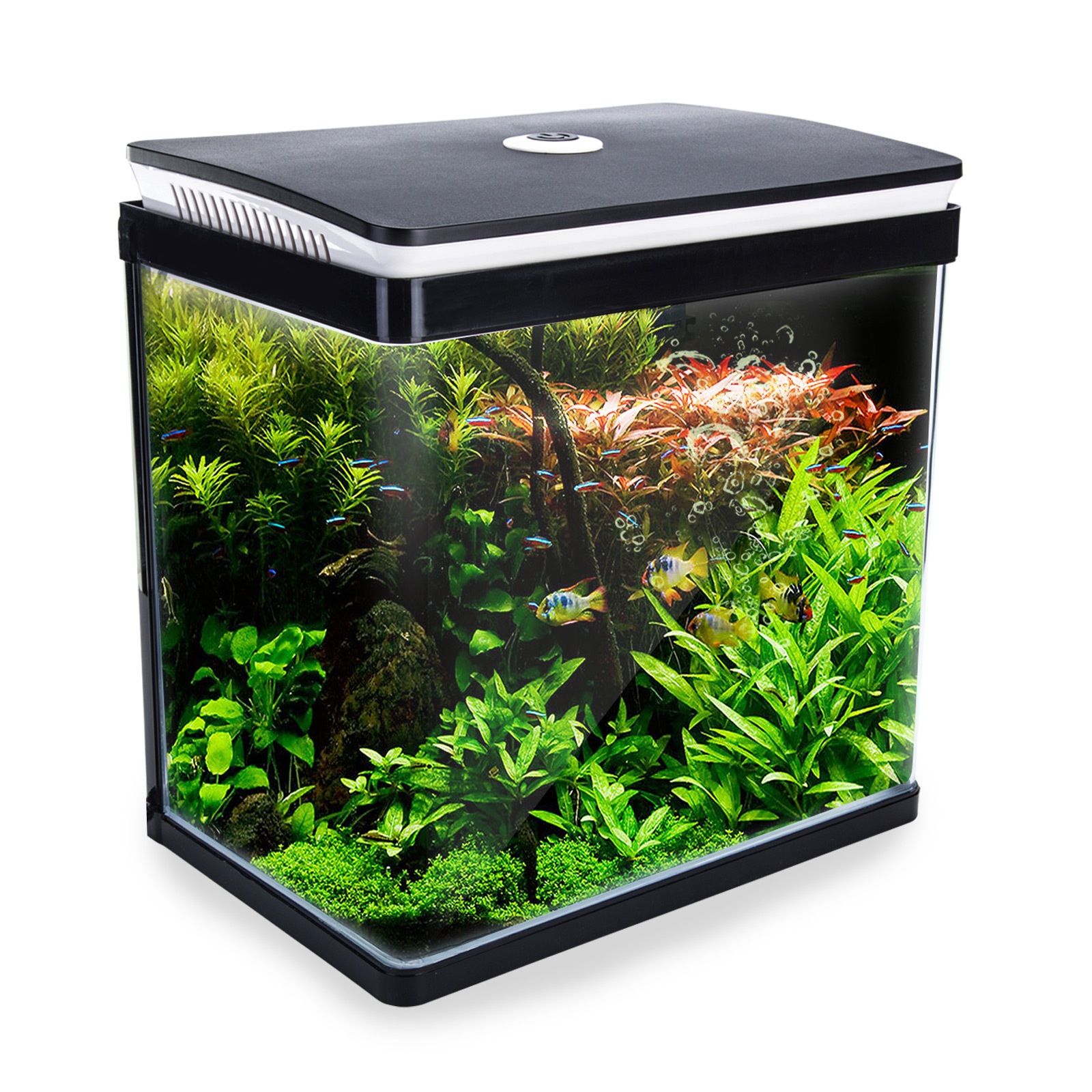 Aquarium Curved Glass RGB LED Fish Tank Set Filter Pump 30L Bunnings