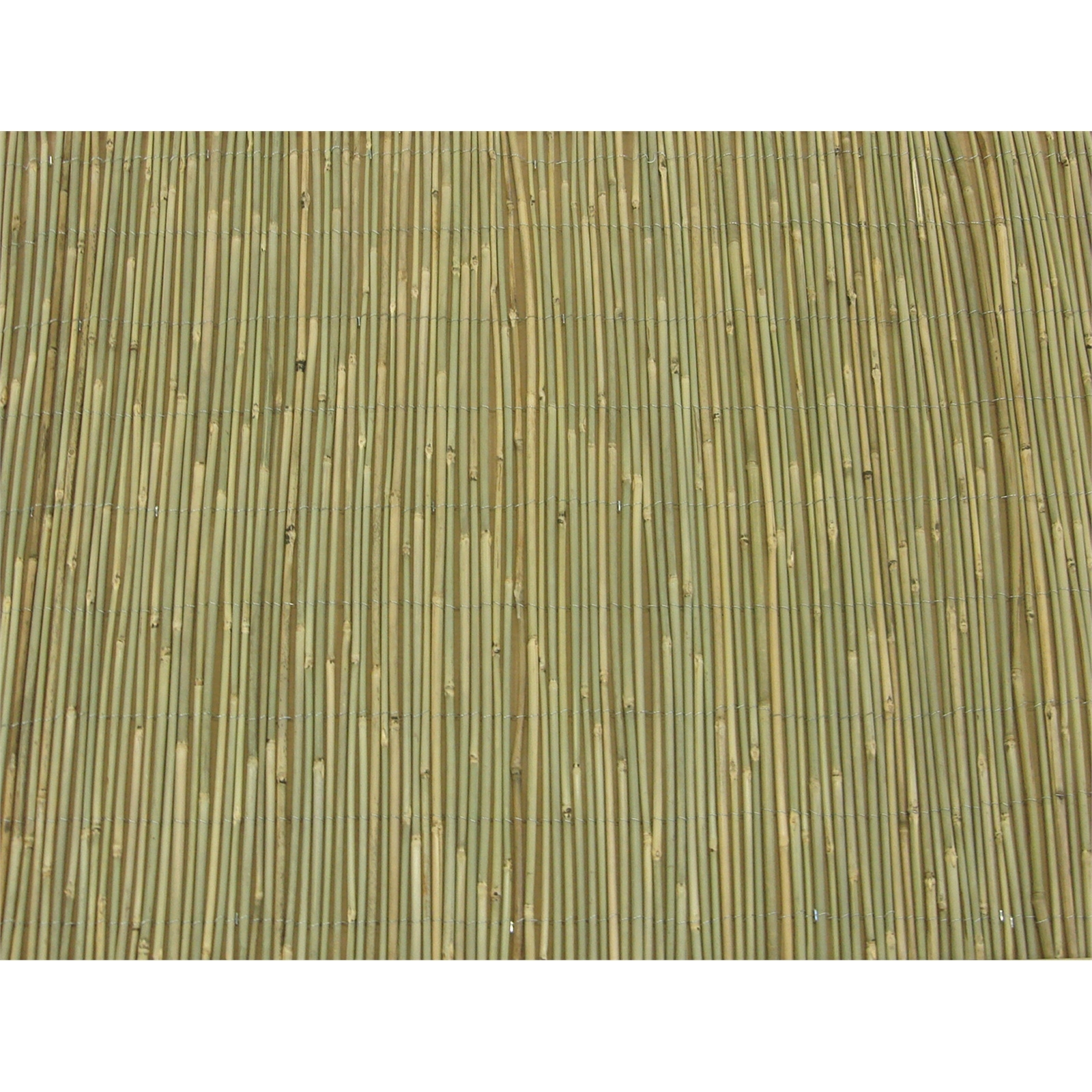 EDEN 1.5 x 3m Natural Bamboo Screen Fencing Bunnings Australia