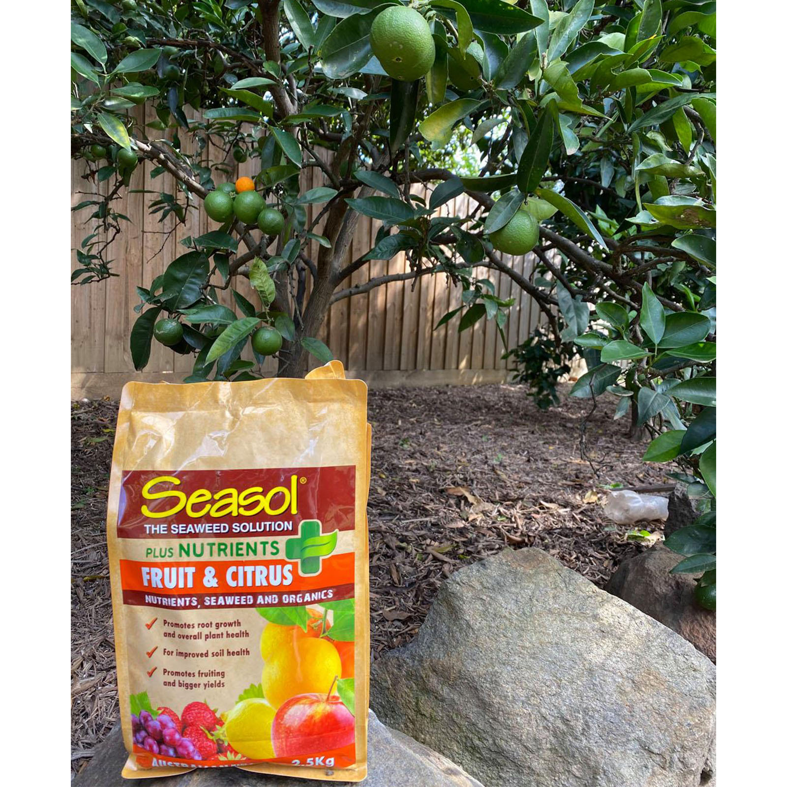 Seasol 2.5kg Plus Nutrients Fruit And Citrus Bunnings Australia