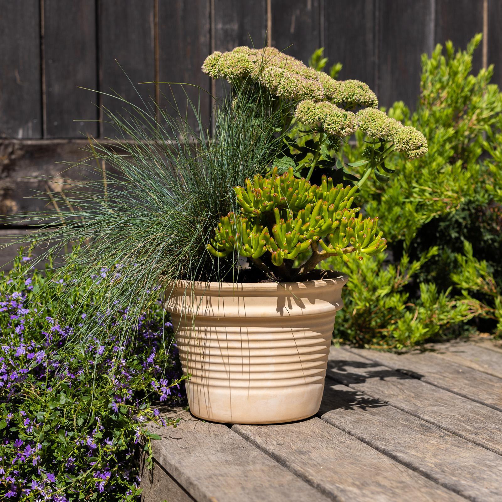 Northcote Pottery 27cm Terracotta Minturno Planter Bunnings New Zealand