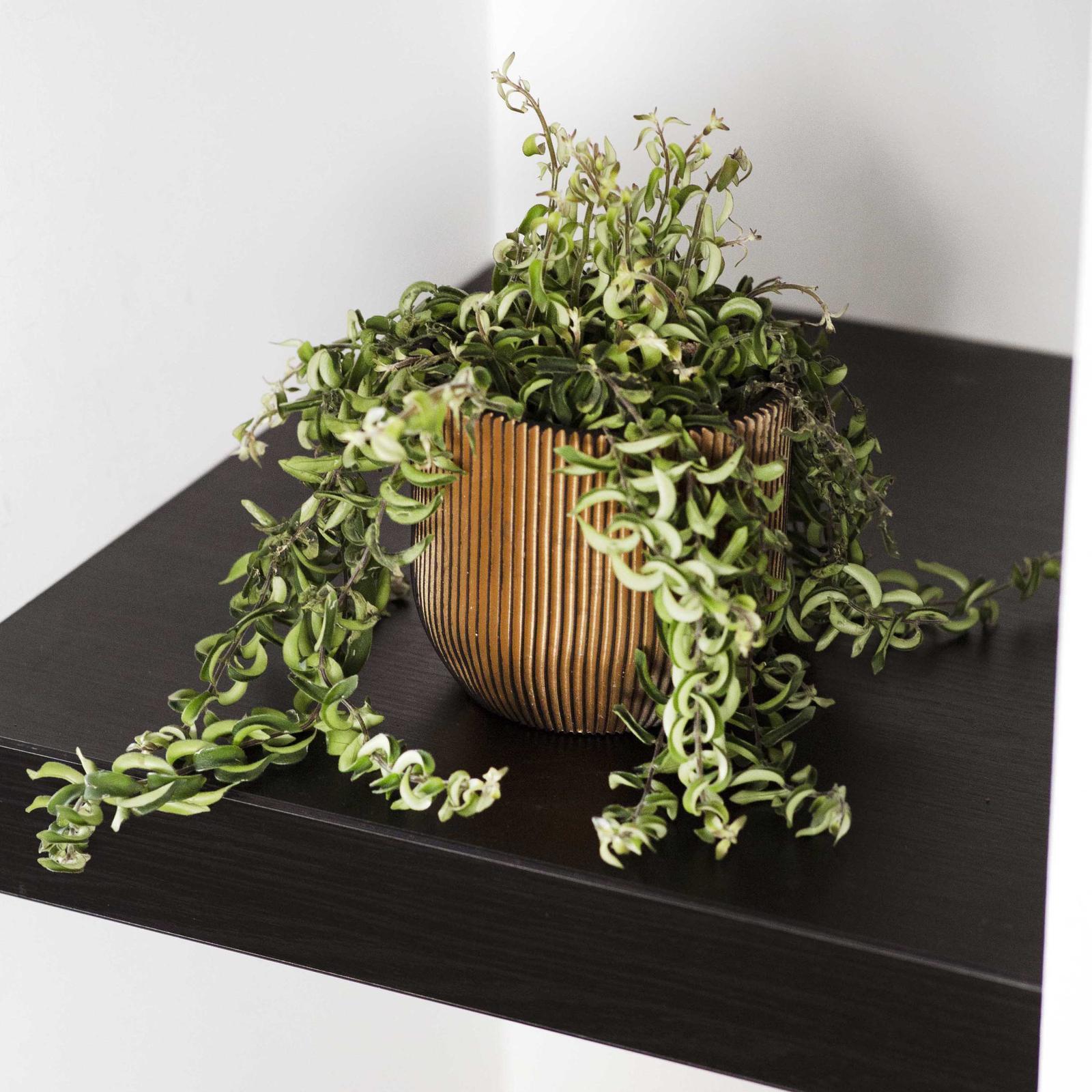 Capi 14 x 13cm Black And Gold Groove Indoor Plant Pot Bunnings Australia