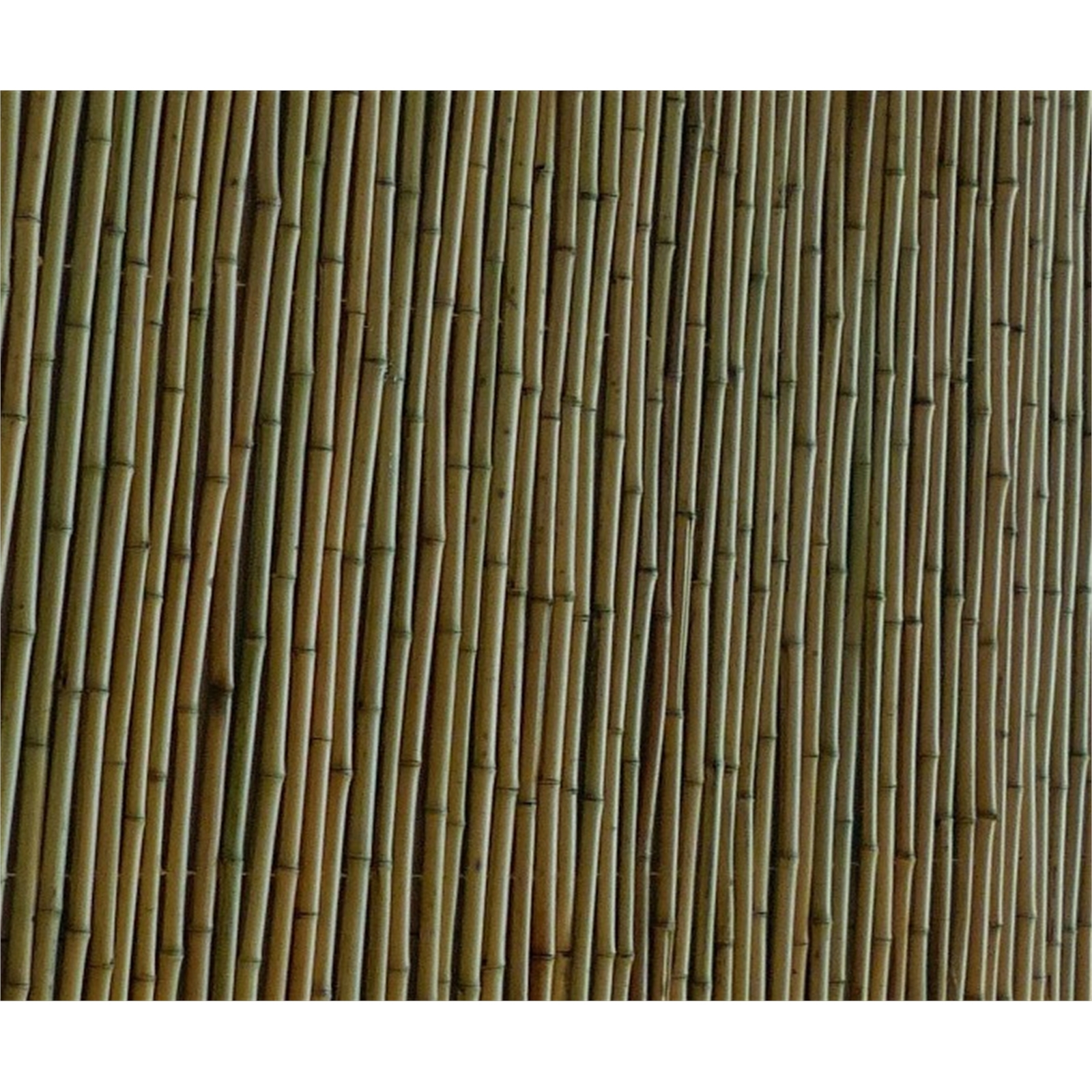 EDEN 1.8 x 1.5m Natural Bamboo Premium Screen Fencing Bunnings Australia