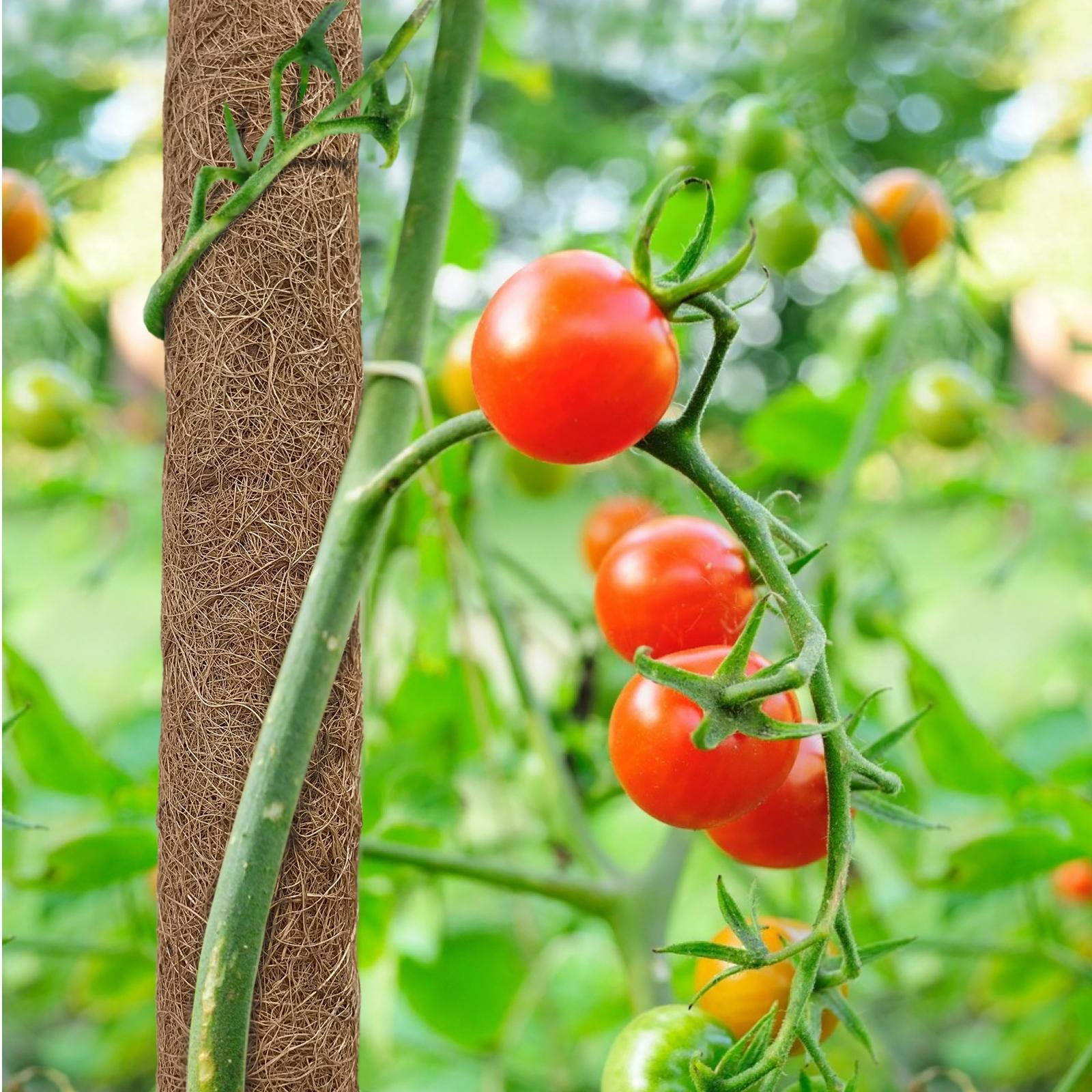 Pillar 180cm Natural Garden Stake Bunnings New Zealand