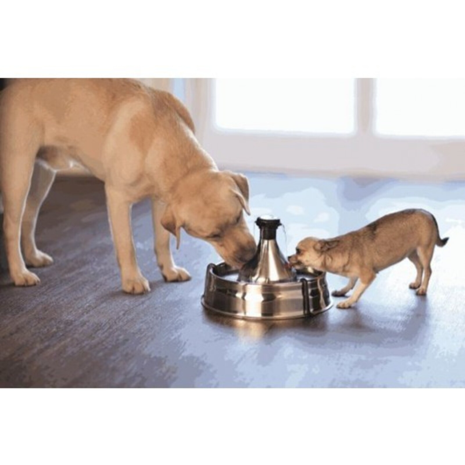 Drinkwell 3.8 Litre 360 Stainless Steel Pet Filtered Fountain for Dogs