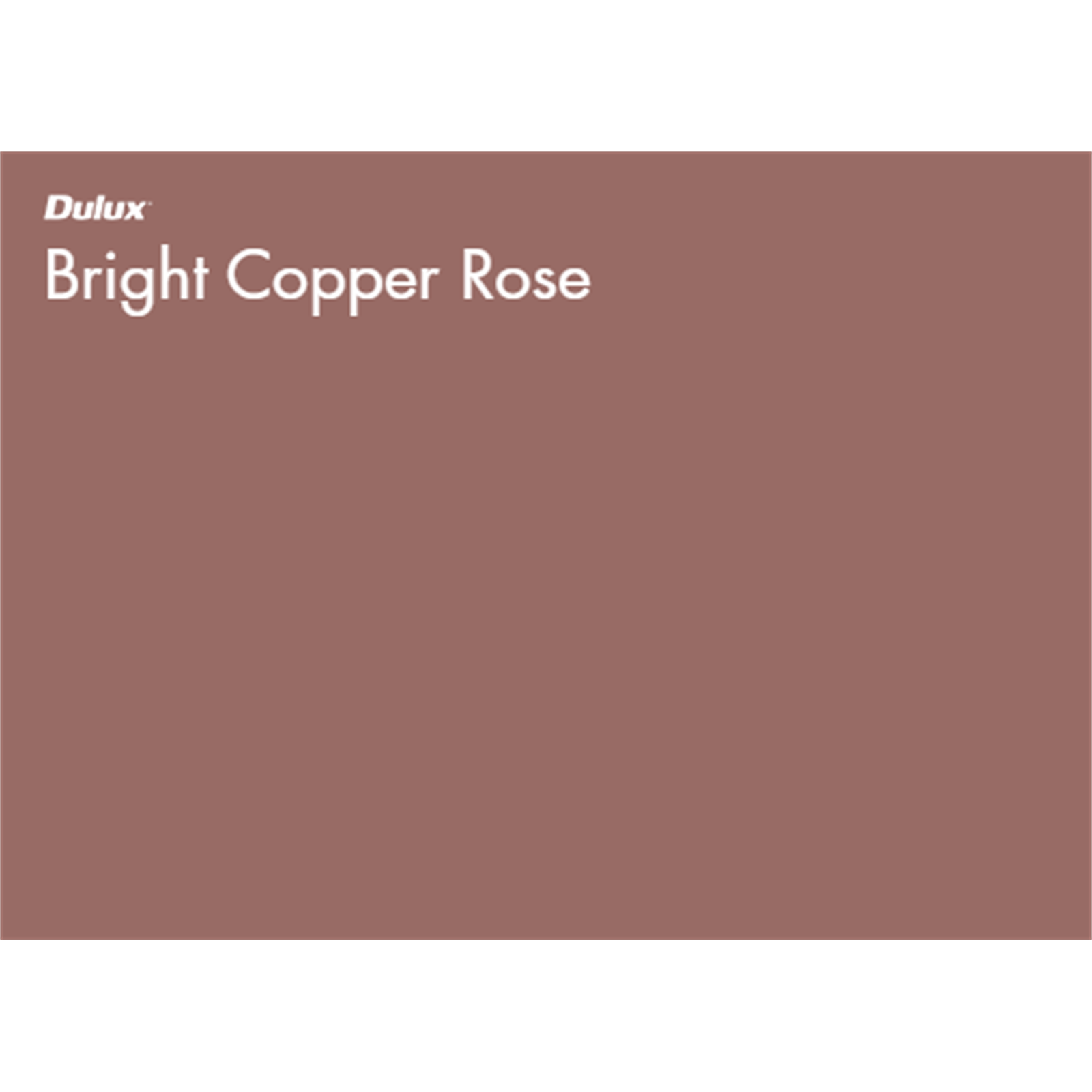 Dulux 300g Duramax Bright Copper Rose Spray Paint Bunnings New Zealand