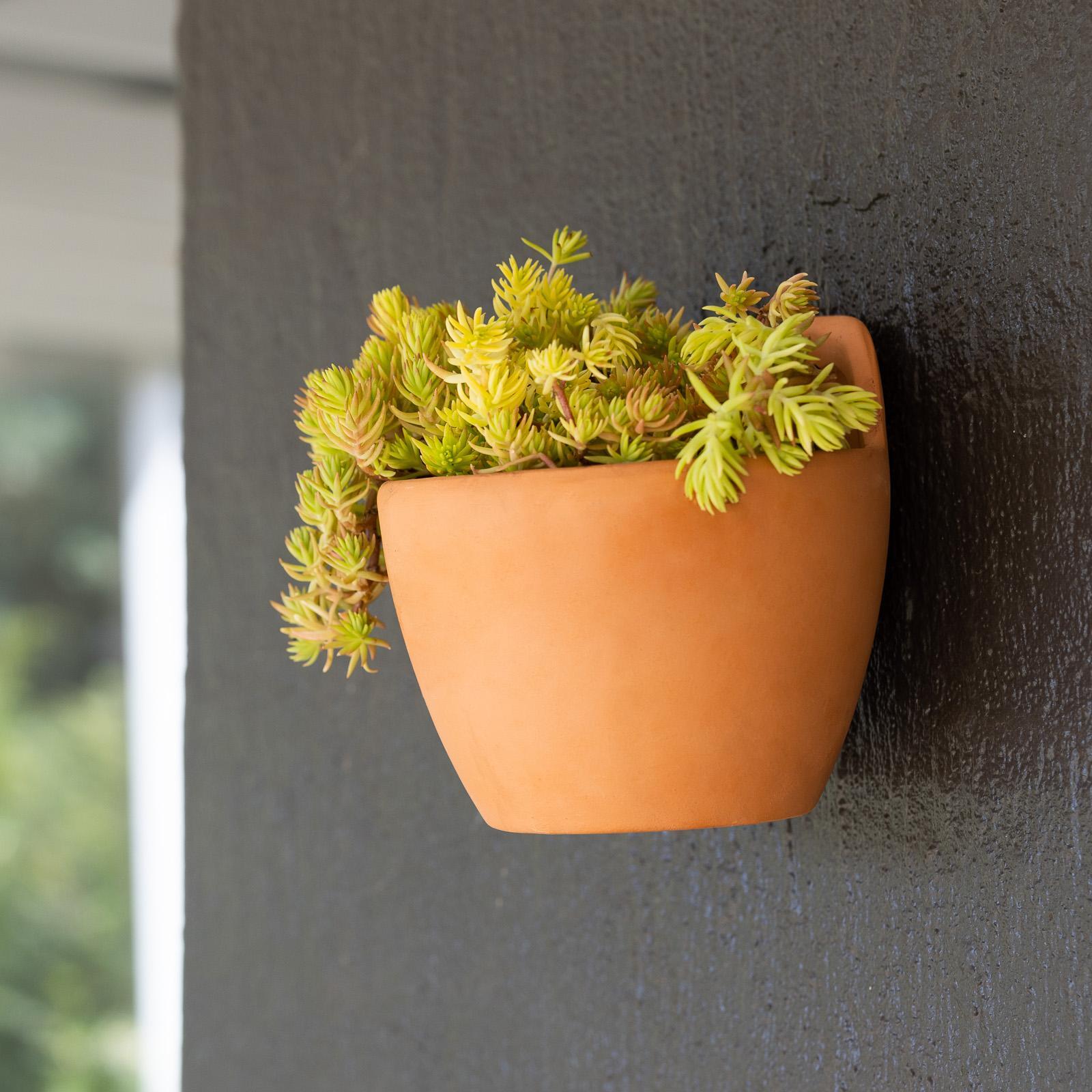 Northcote Pottery 13 x 13cm Terracotta Wall Planter Bunnings New Zealand