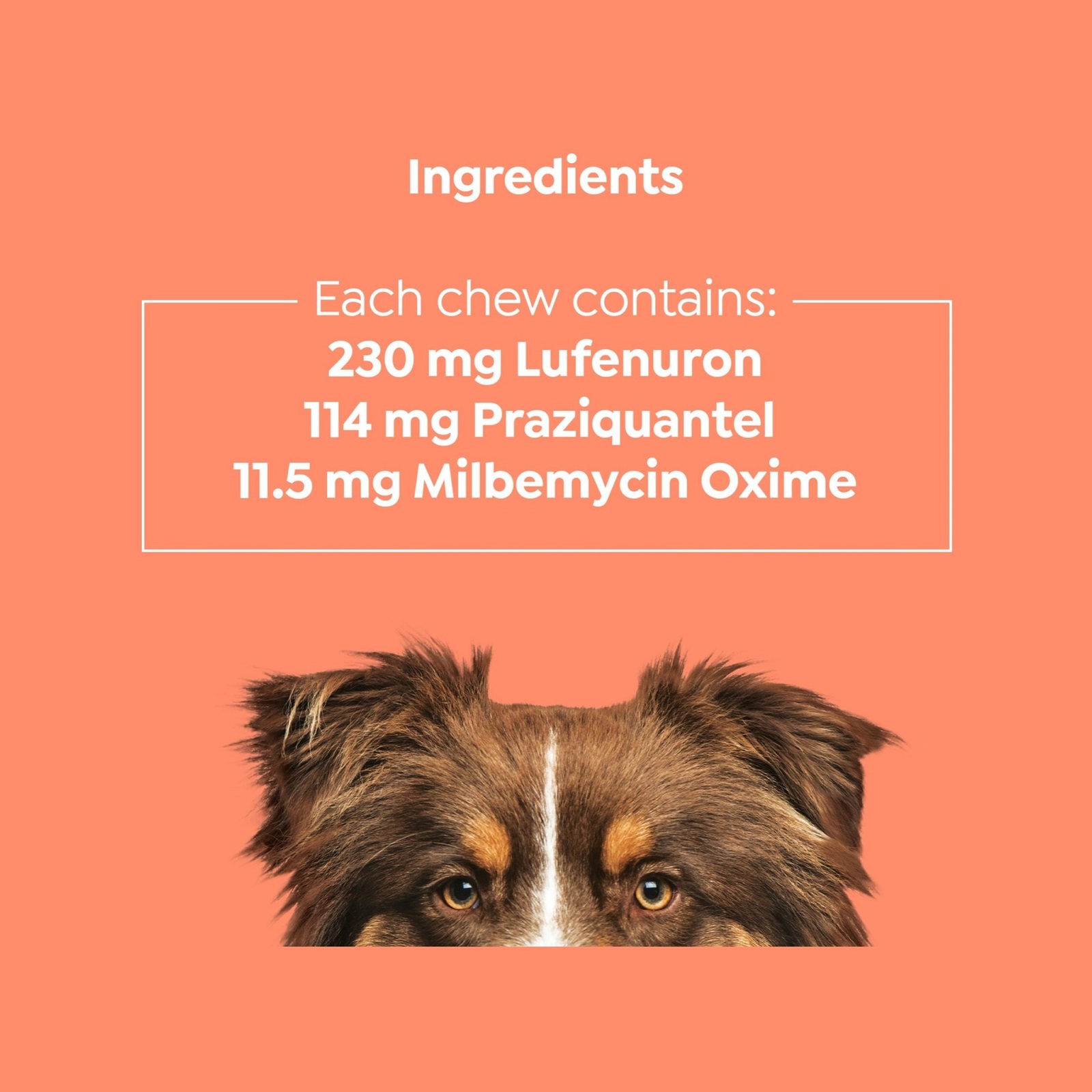 Purina Total Care Medium Dogs Heartwormer Allwormer And Flea Control