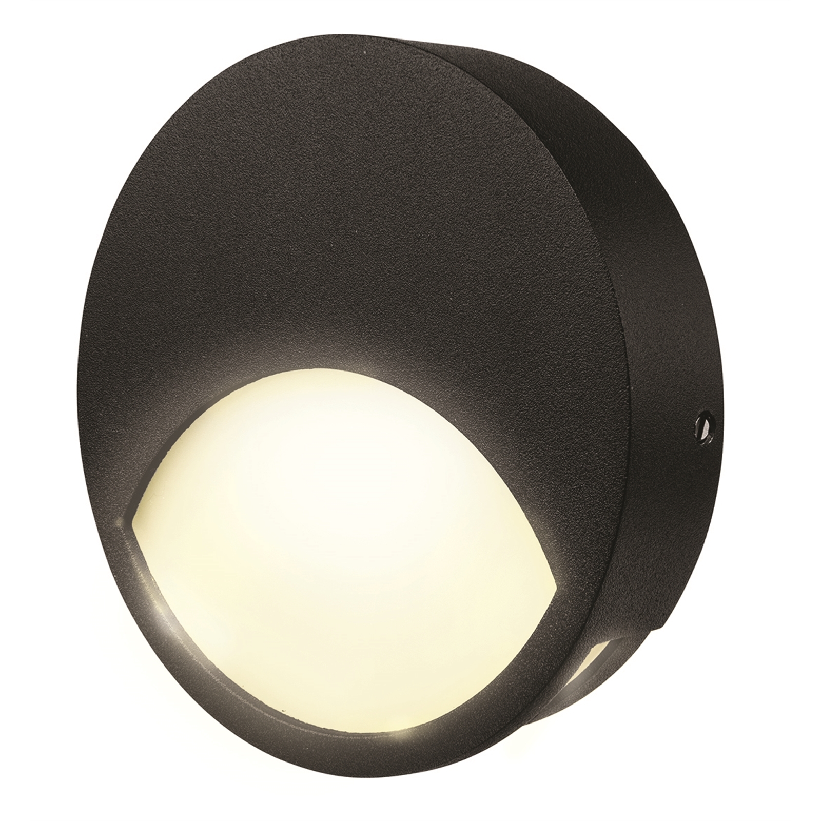 Brilliant Lighting Black Corby Round LED Step / Wall Light Bunnings