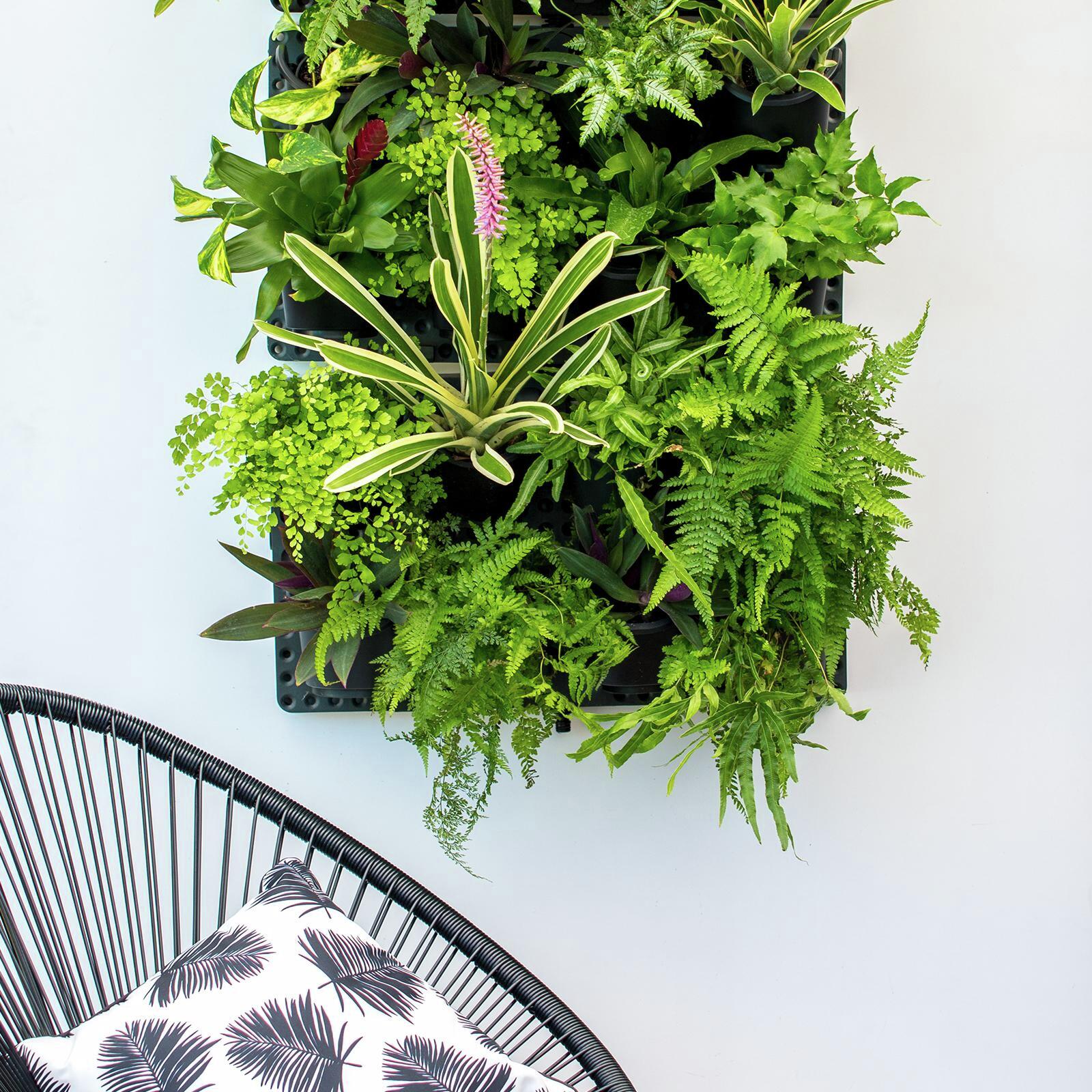 Holman Vertical GreenWall Garden Kit Bunnings Australia